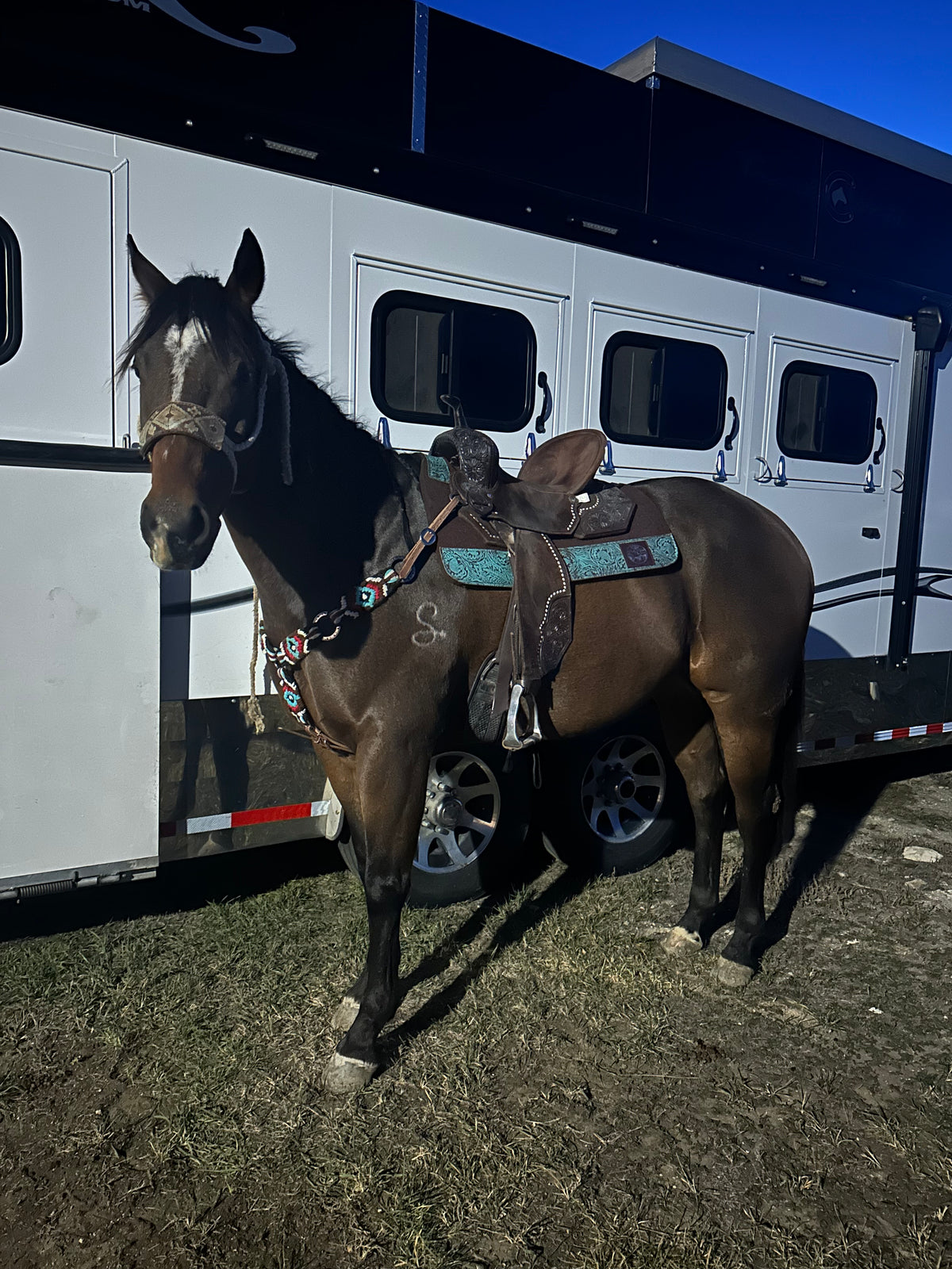 Saddle pads