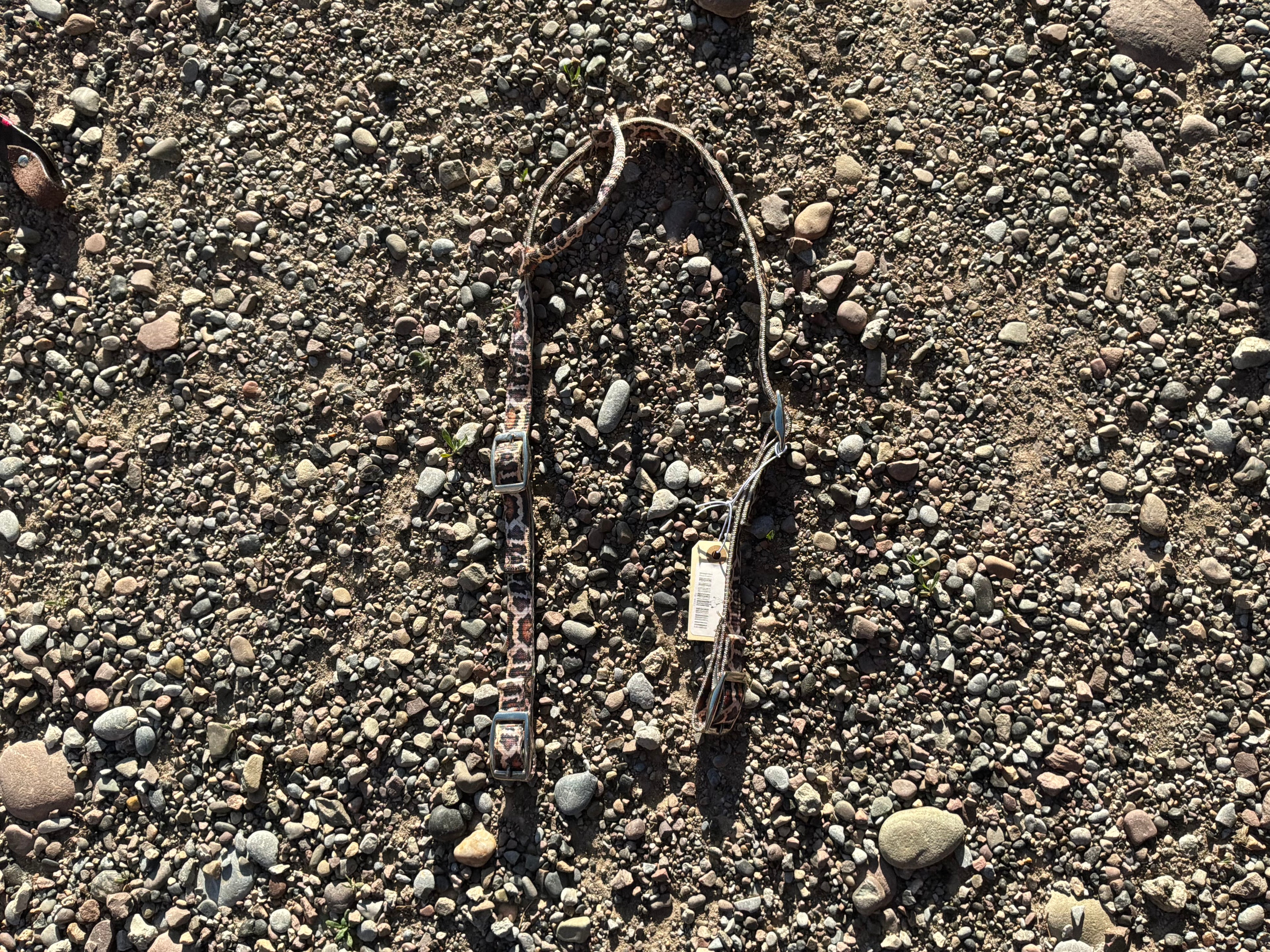 Nylon print one ear headstall