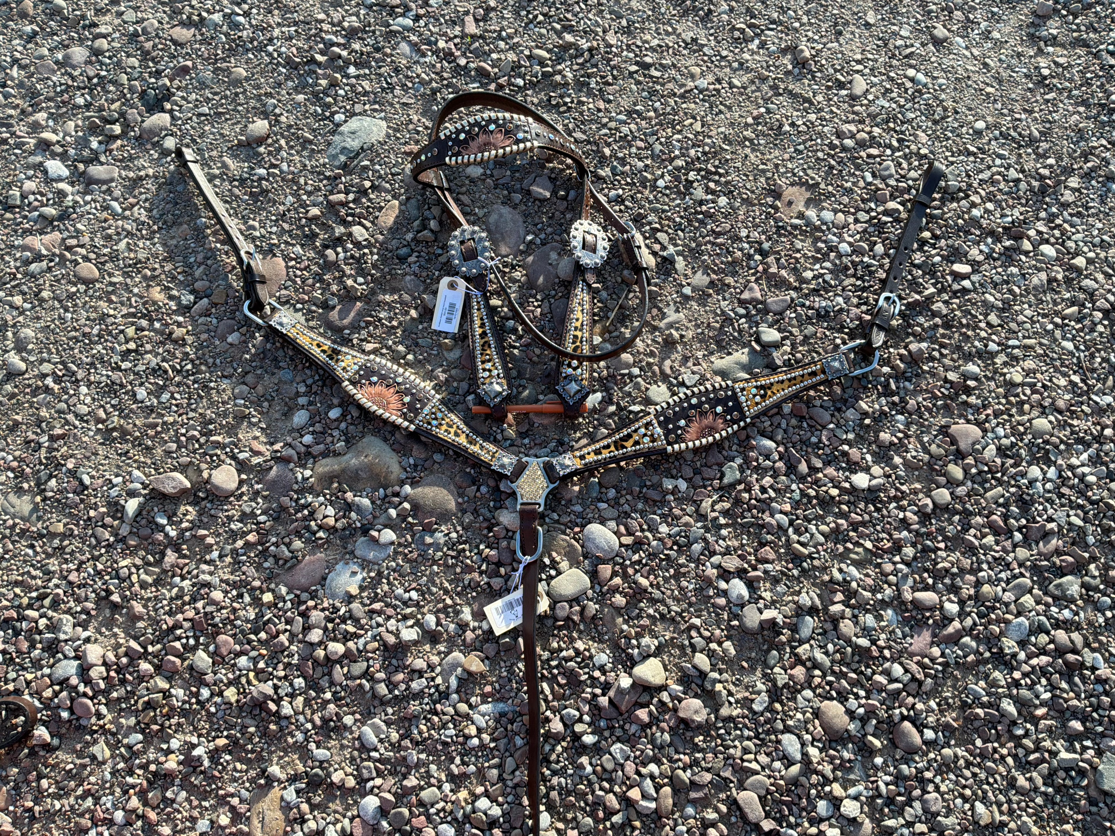Sunflower & cheetah headstall & breast collar set