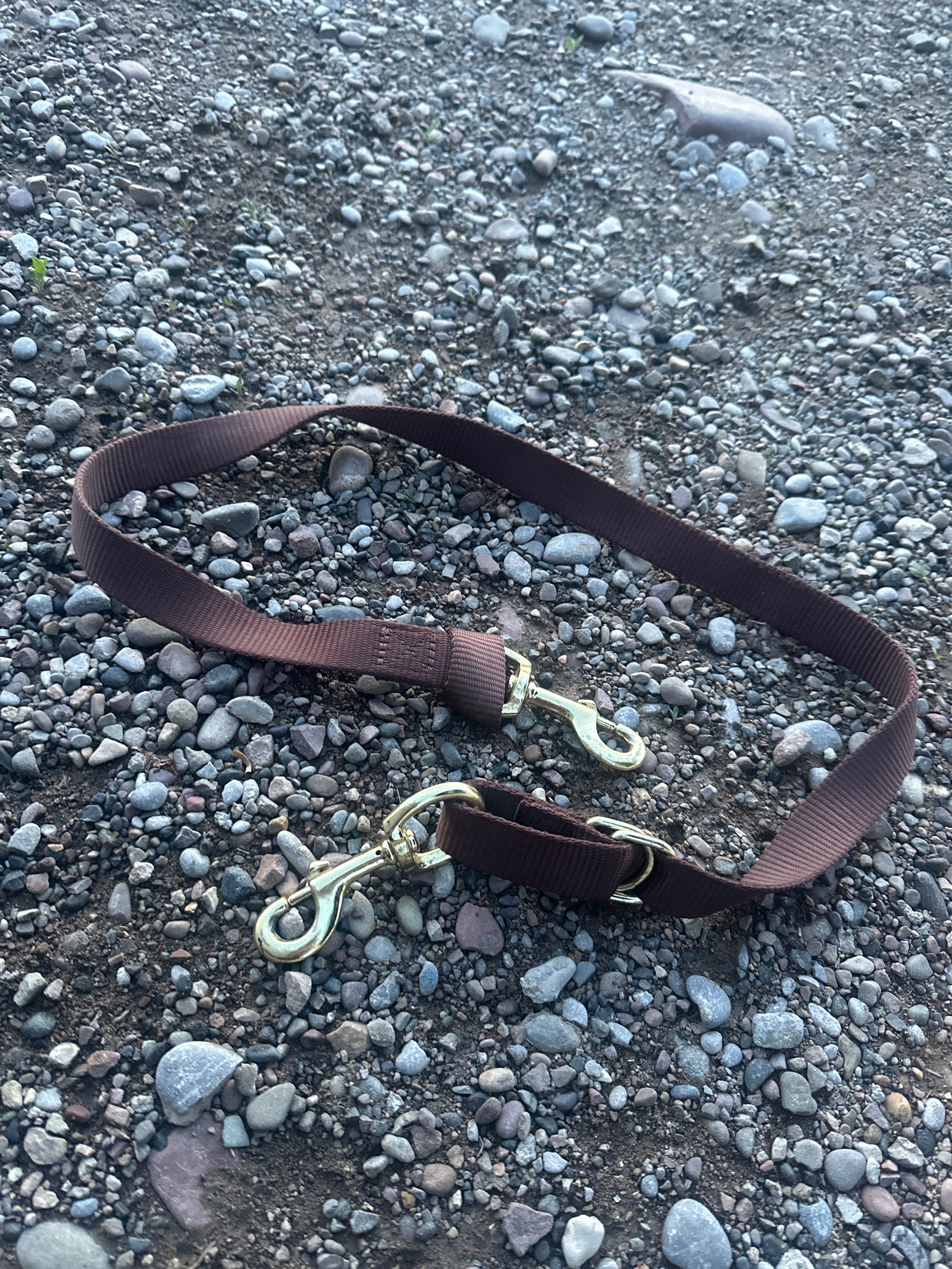 Brown nylon tiedown strap ￼