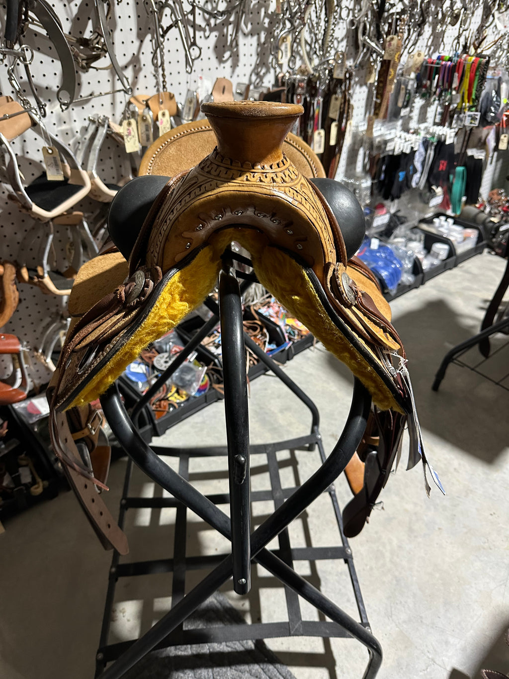 10” Silver Royal buckaroo