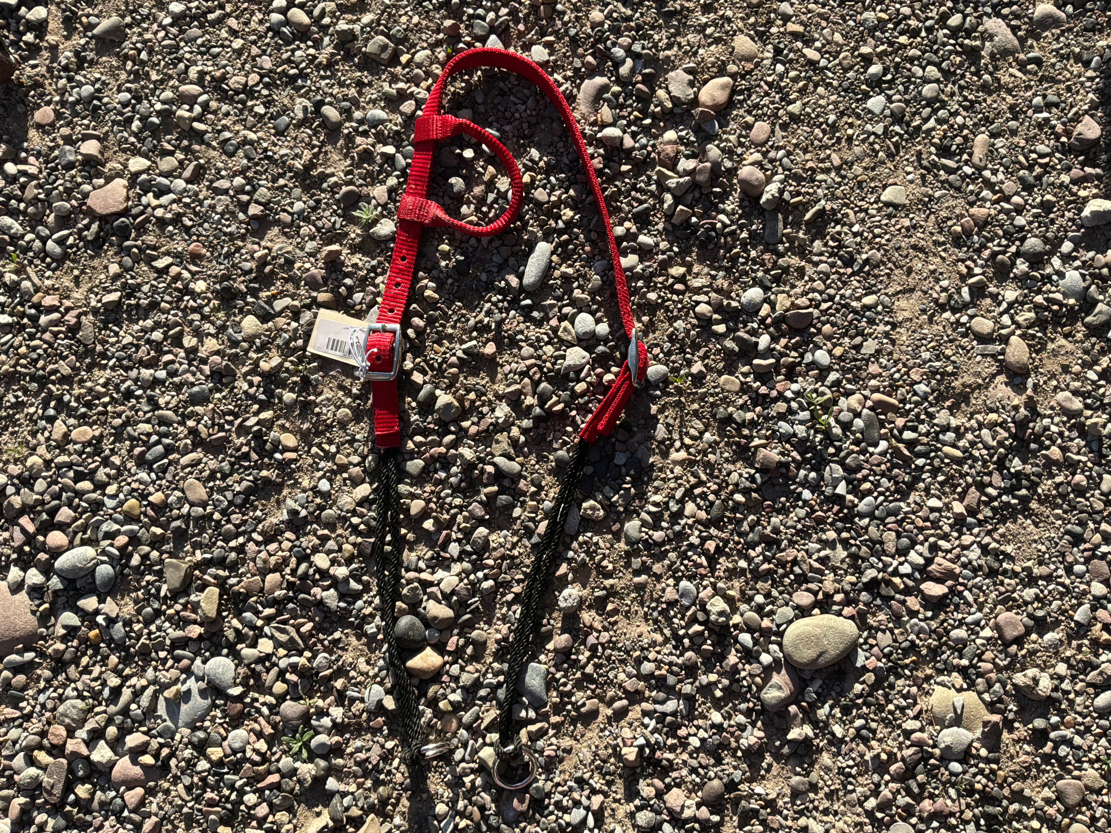 Nylon one ear draw gag headstall