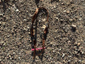 Copper ring one ear headstall