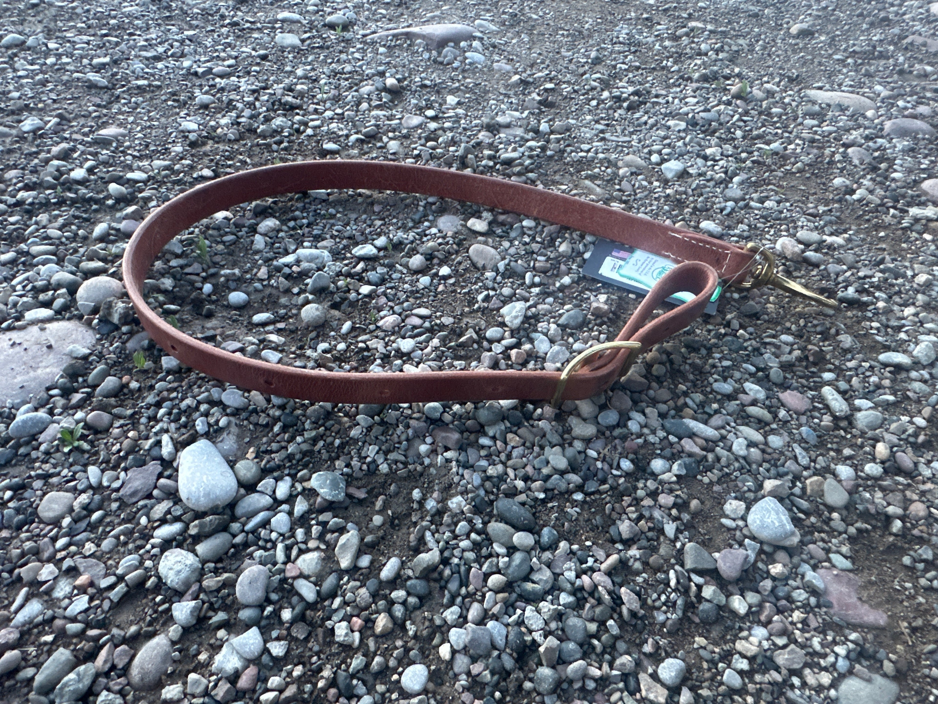 Professionals Choice tiedown strap harness leather with bronze buckle ￼
