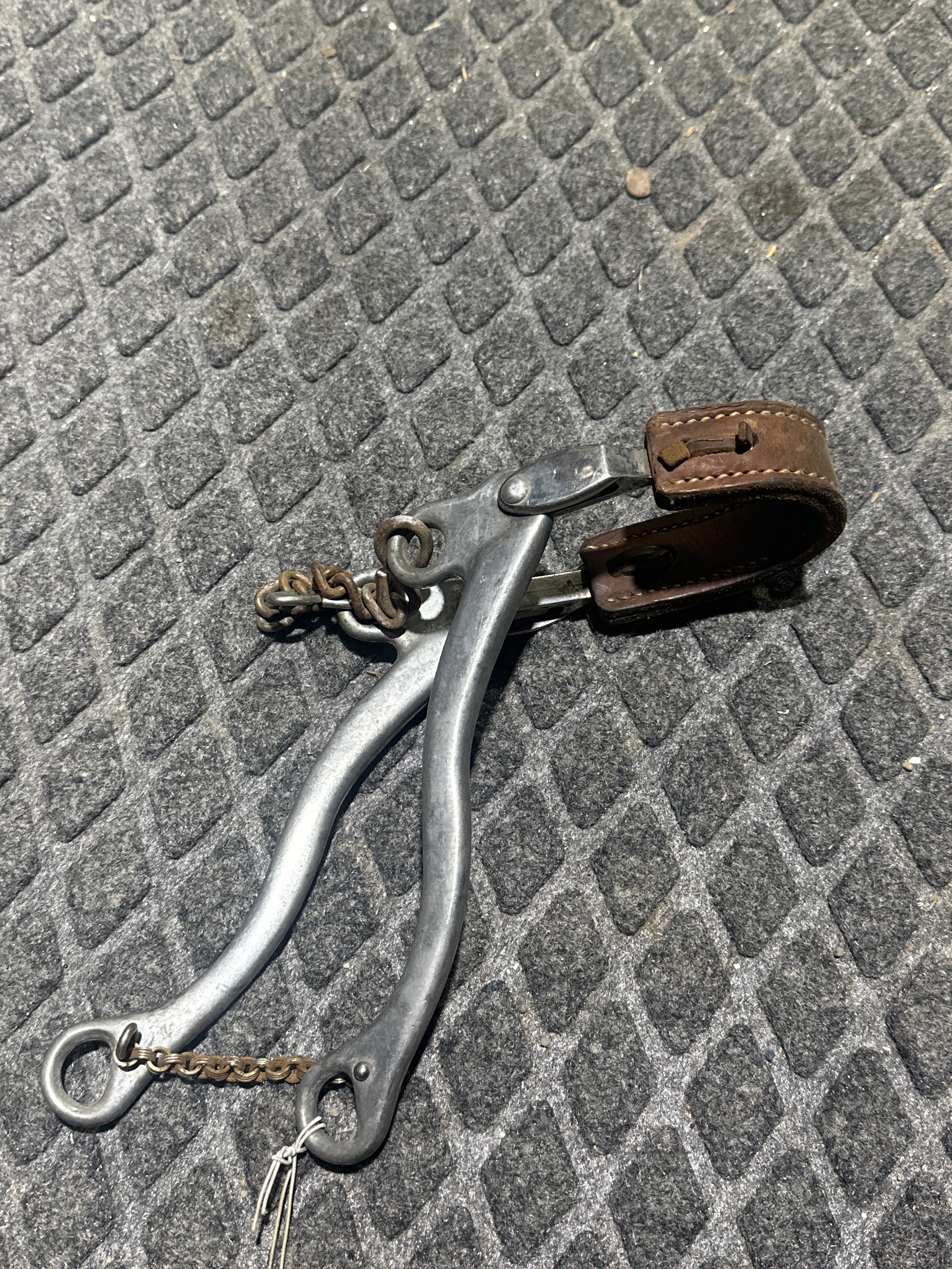 Arab size Sliester Hackamore