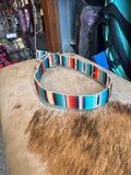 Nylon dog collar medium
