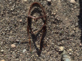 Richland Leather knot brow band headstall