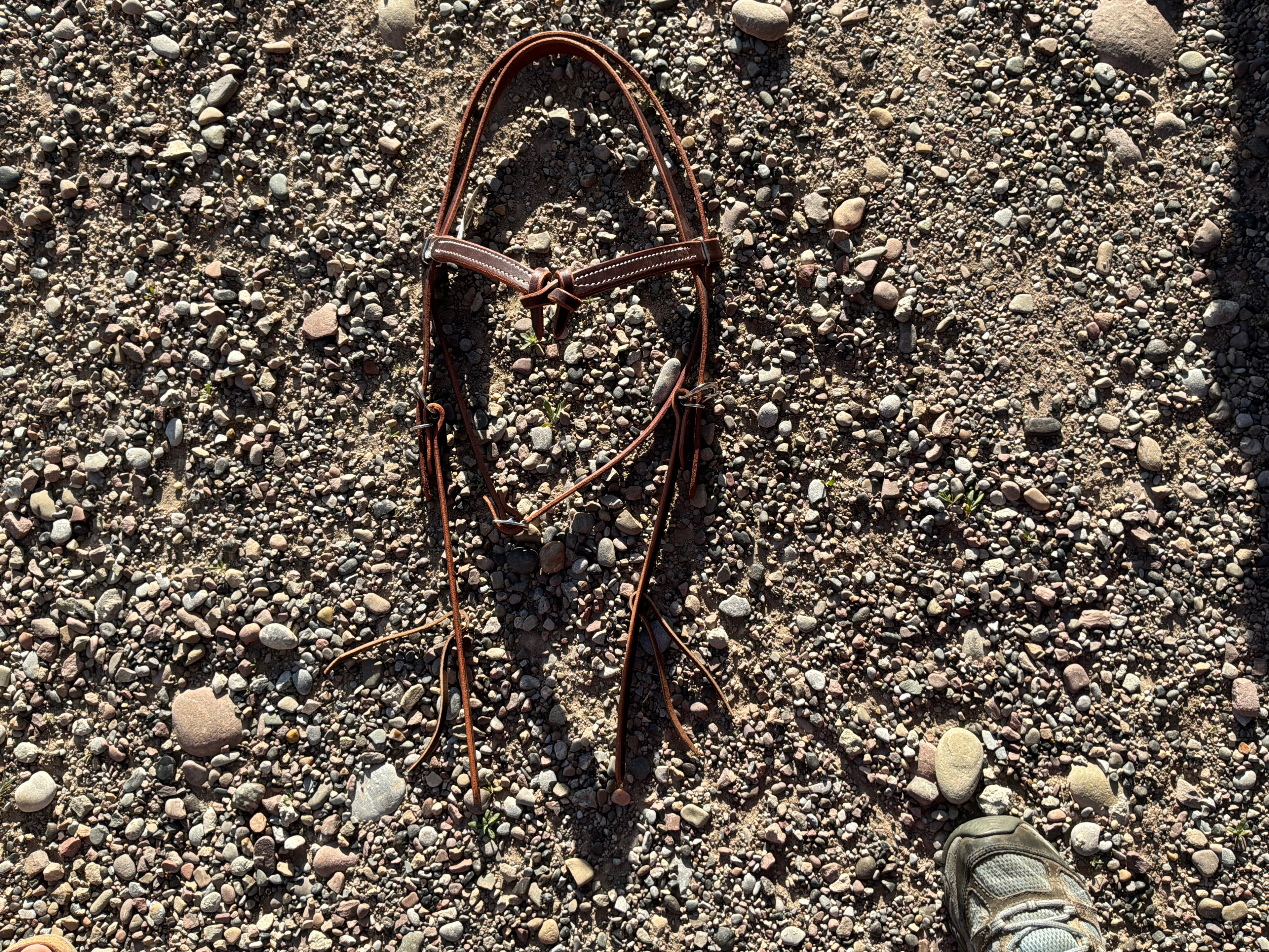 Richland Leather knot brow band headstall