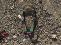 Turquoise brow band headstall with cheetah