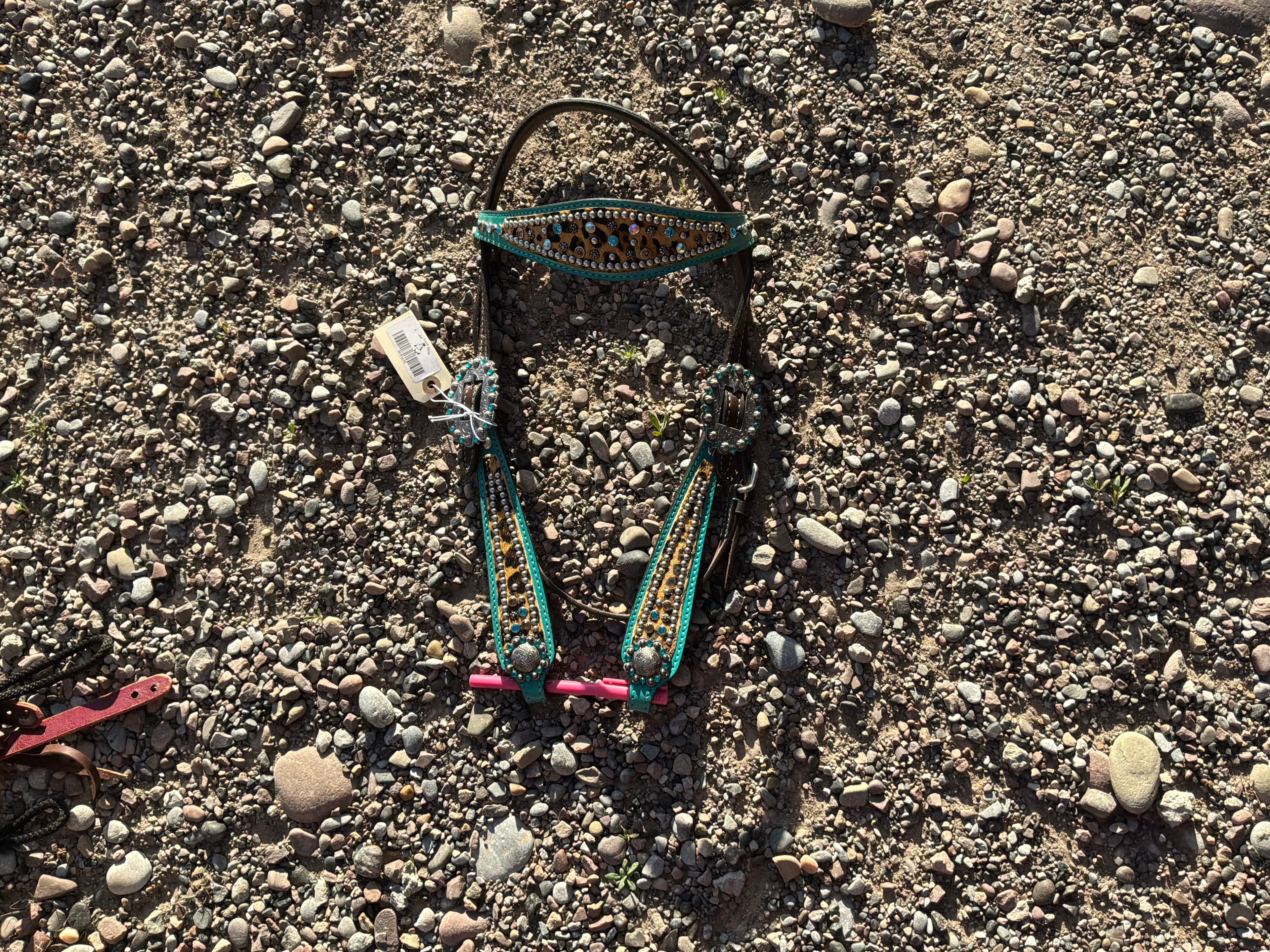 Turquoise brow band headstall with cheetah