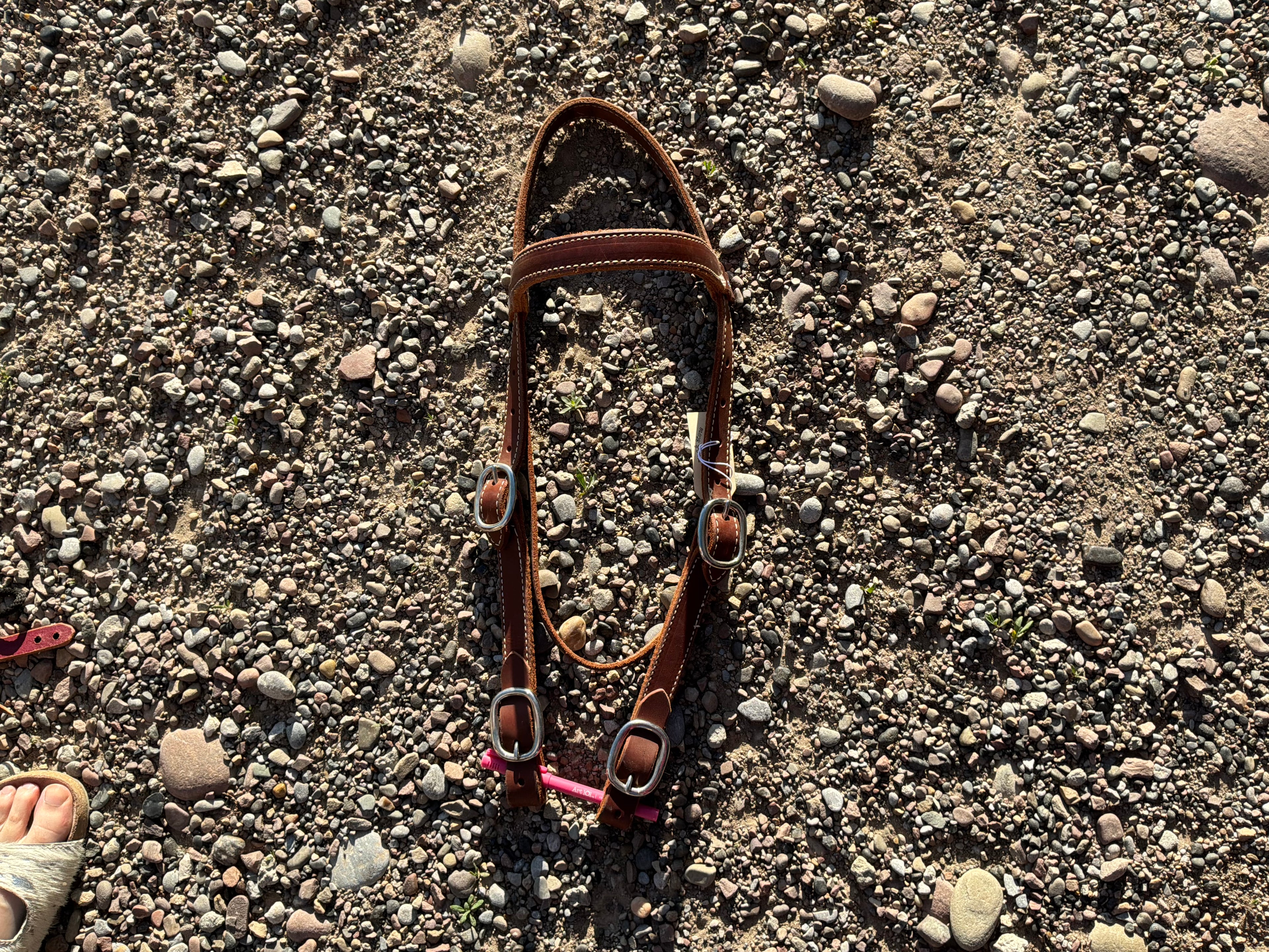 Draft headstall with buckle quick change