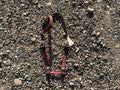 Pink buck stitch headstall