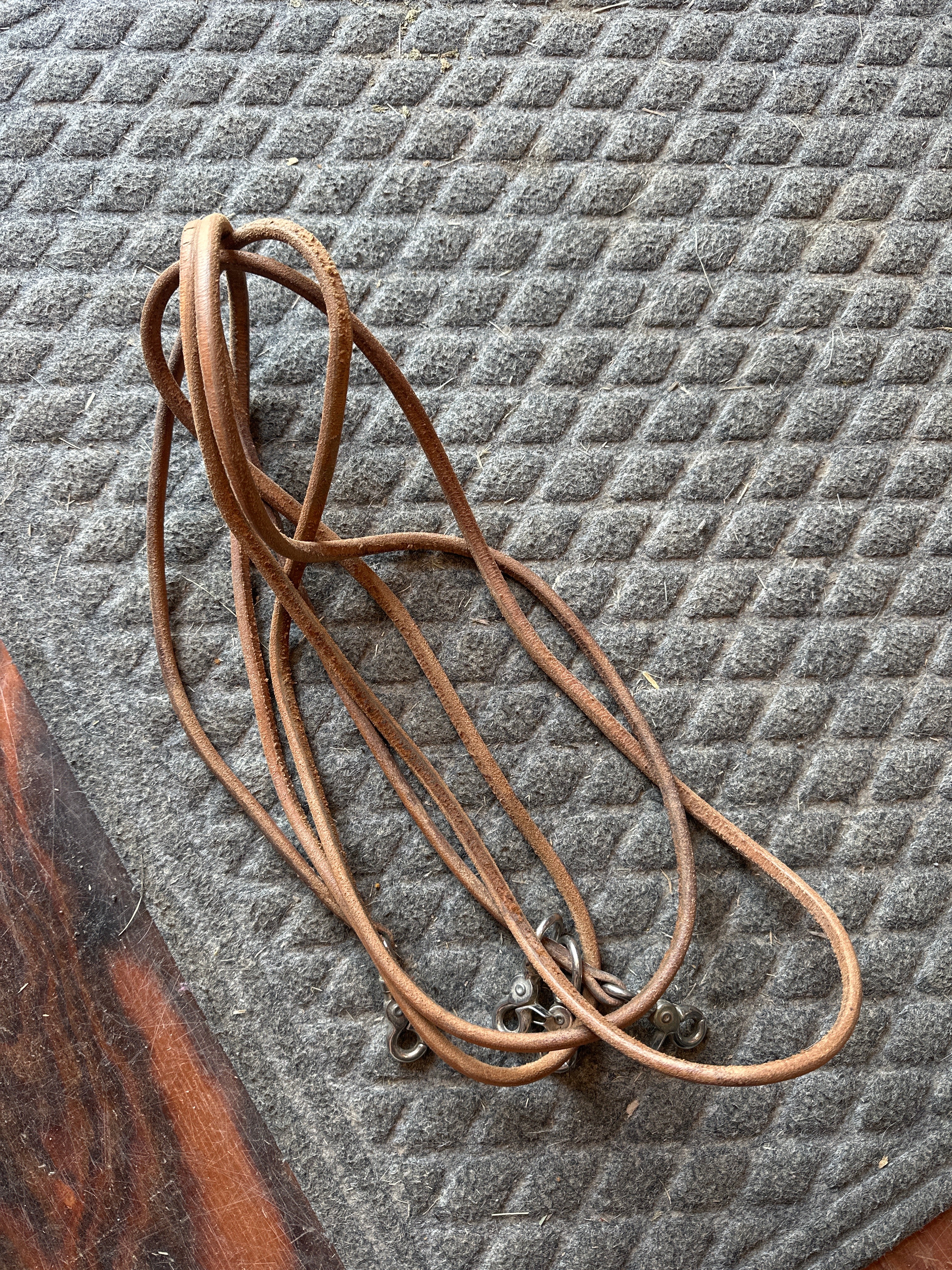 Used leather draw reins