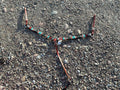 Turquoise, orange & white beaded arrow breast collar