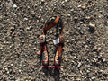 Lucky 7 one ear headstall