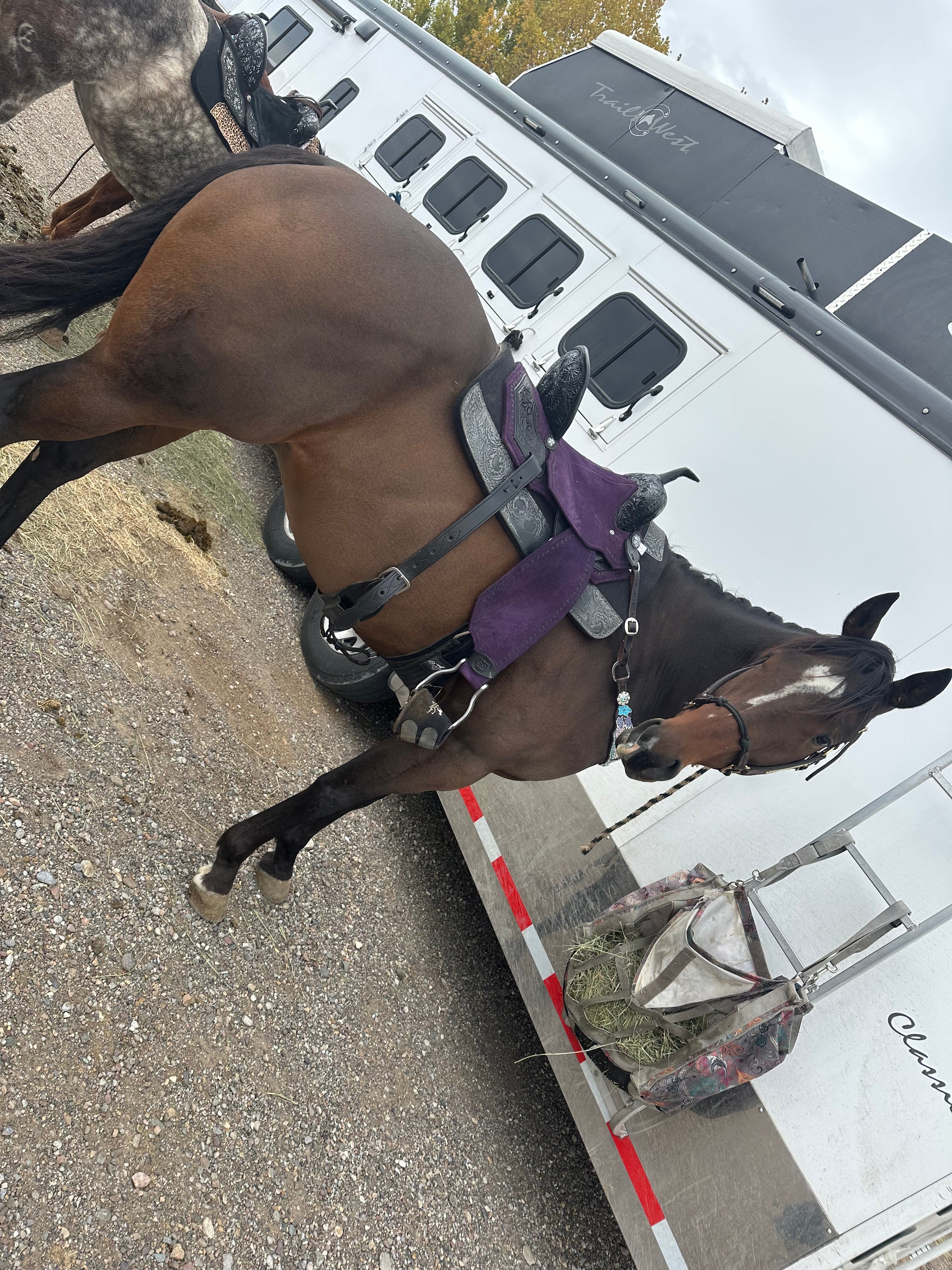 14” custom Silva hybrid light weight barrel saddle