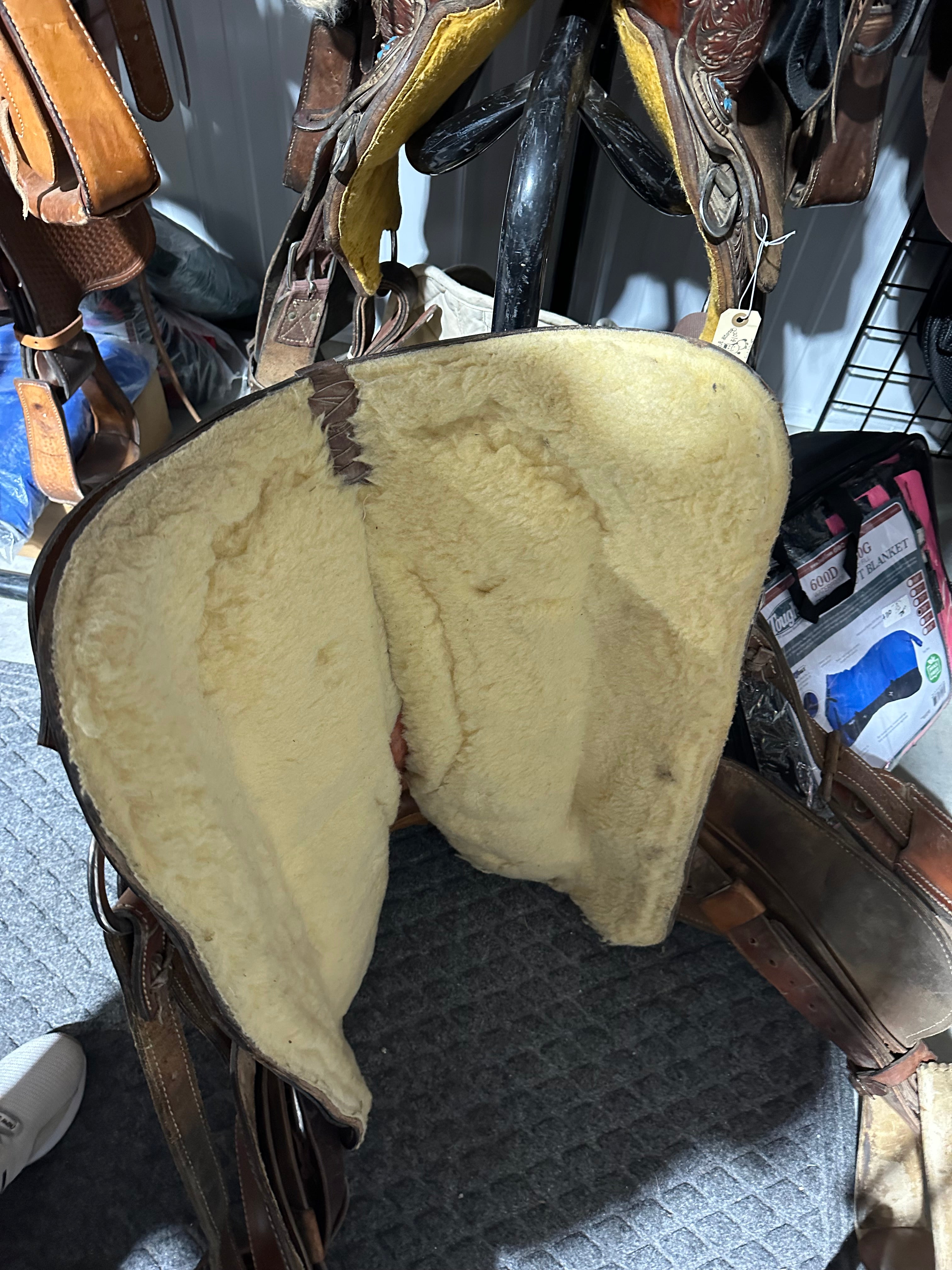 18” Basillo