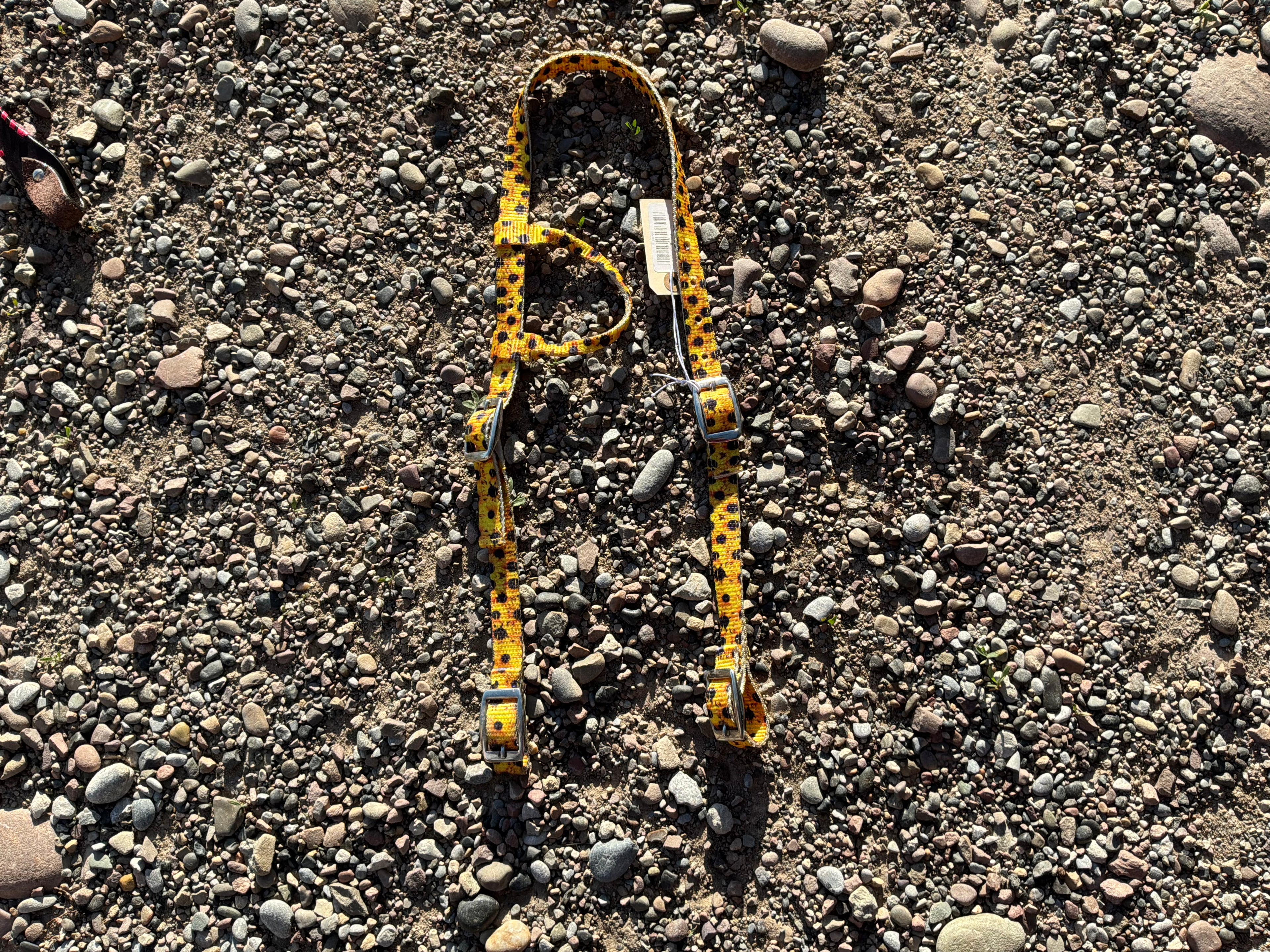 Nylon print one ear headstall