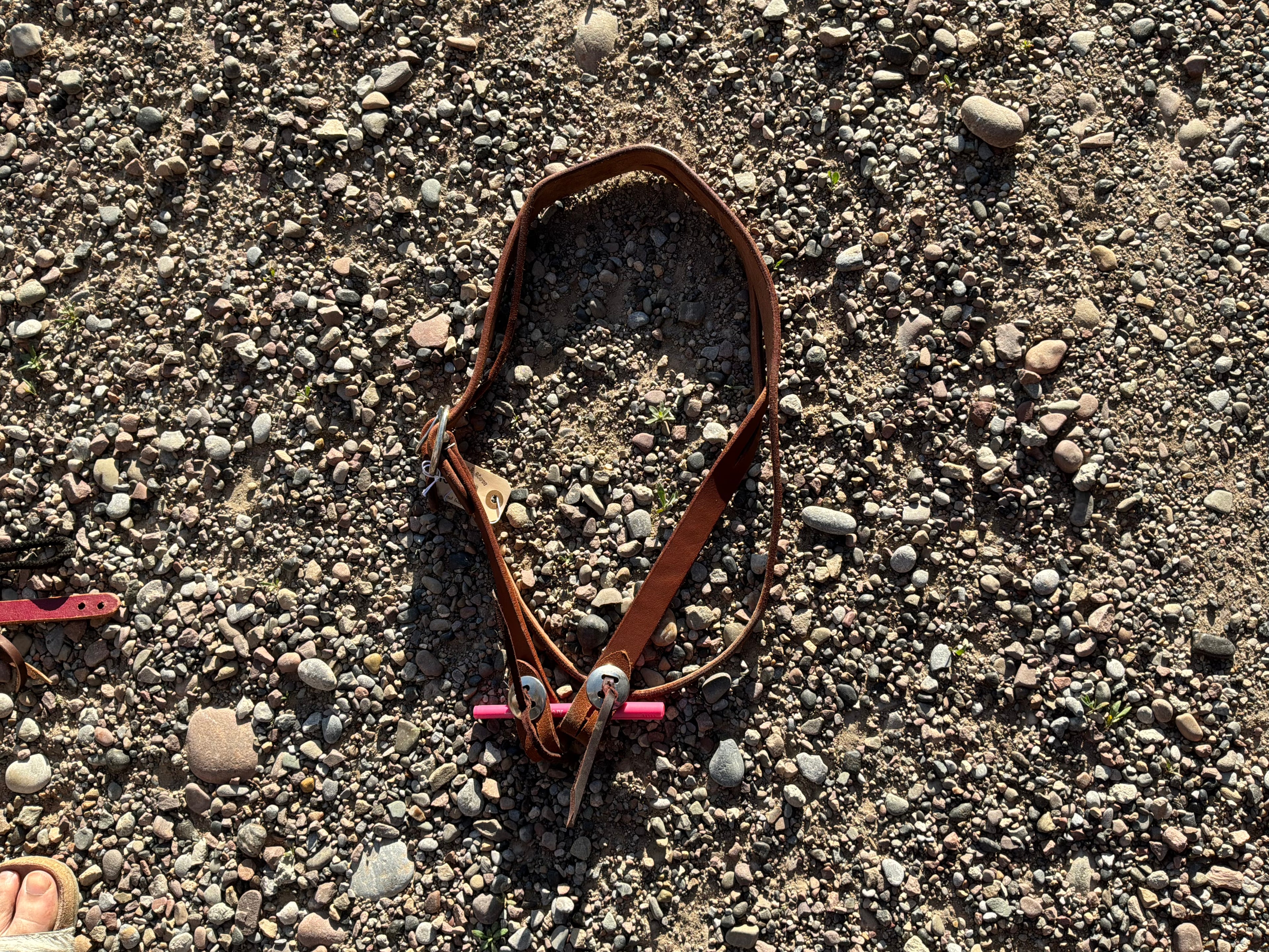Medium oil split ear headstall with throat latch