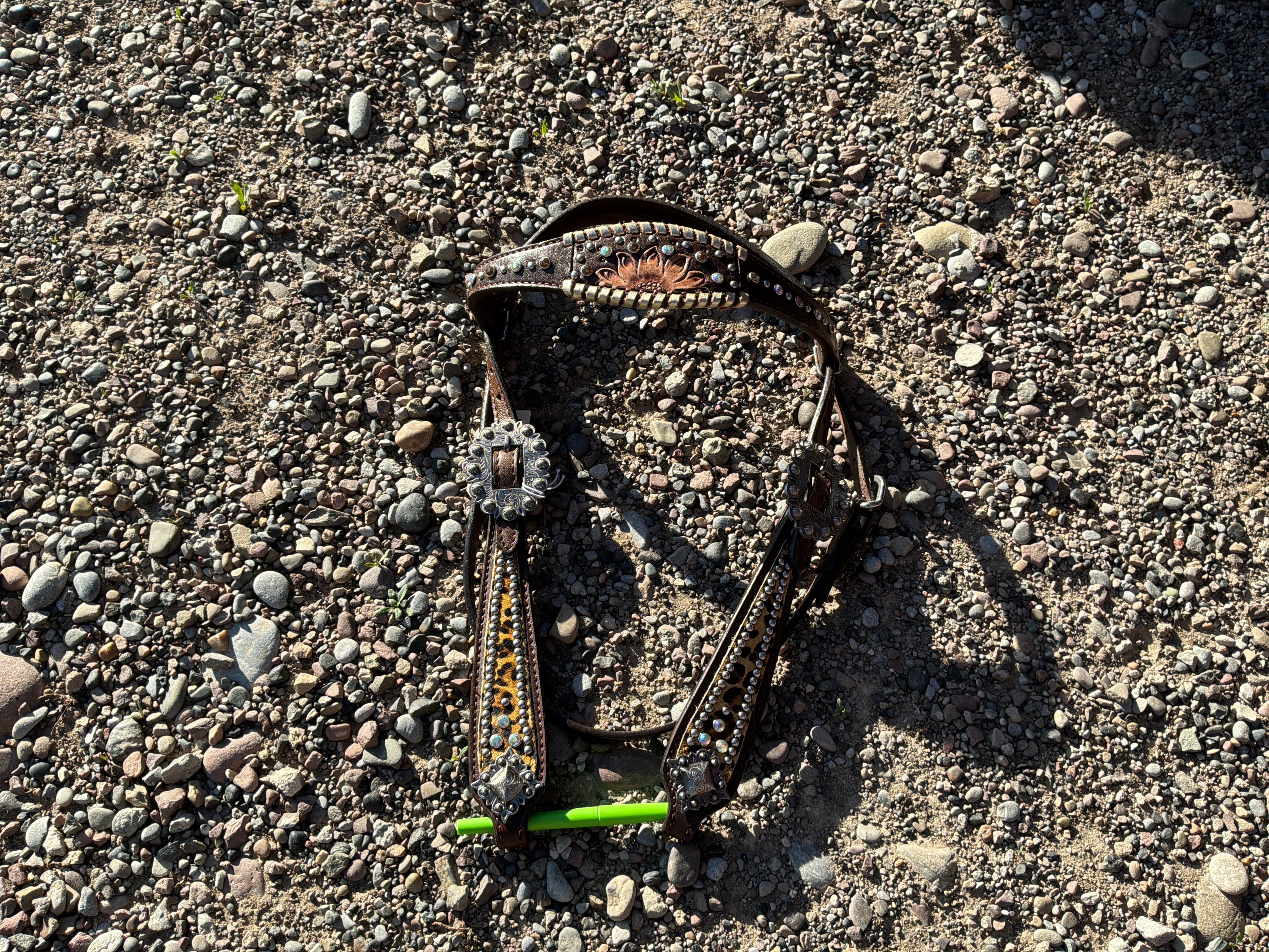 Sunflower cheetah brow band headstall