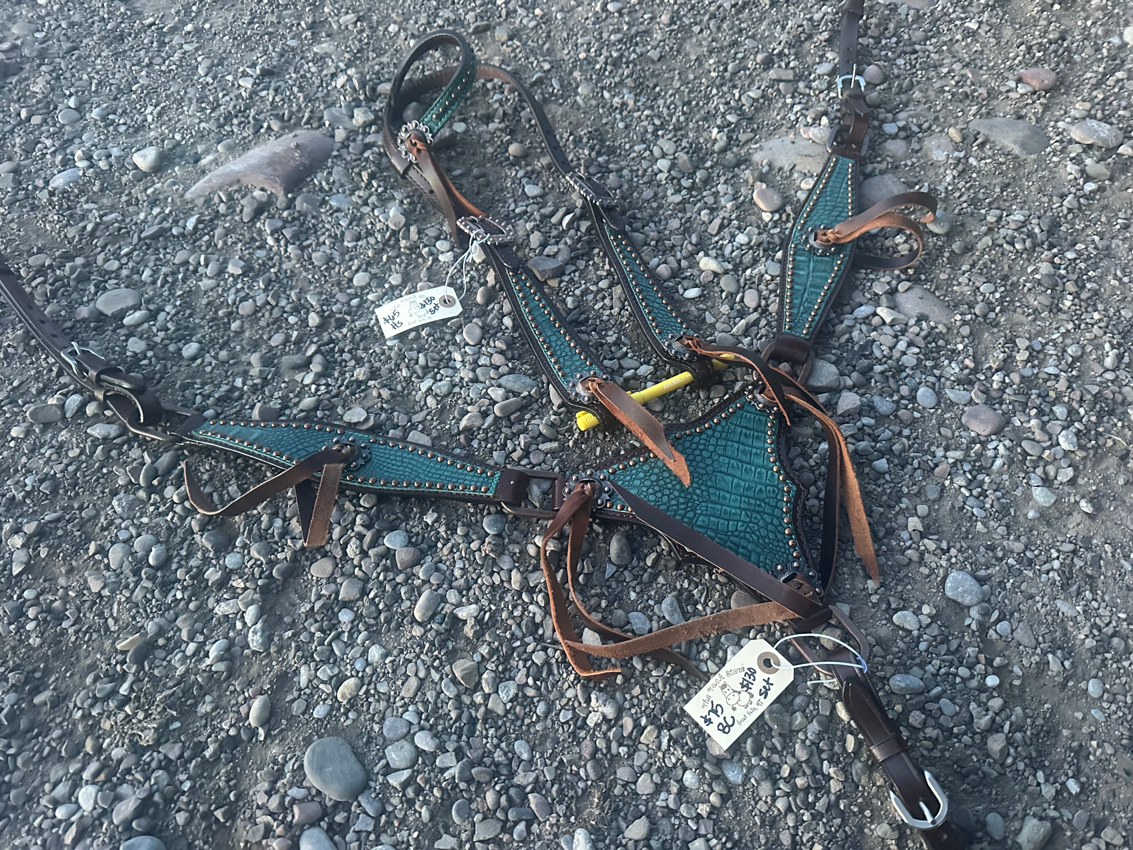 Turquoise headstall & matching gladiator breast collar