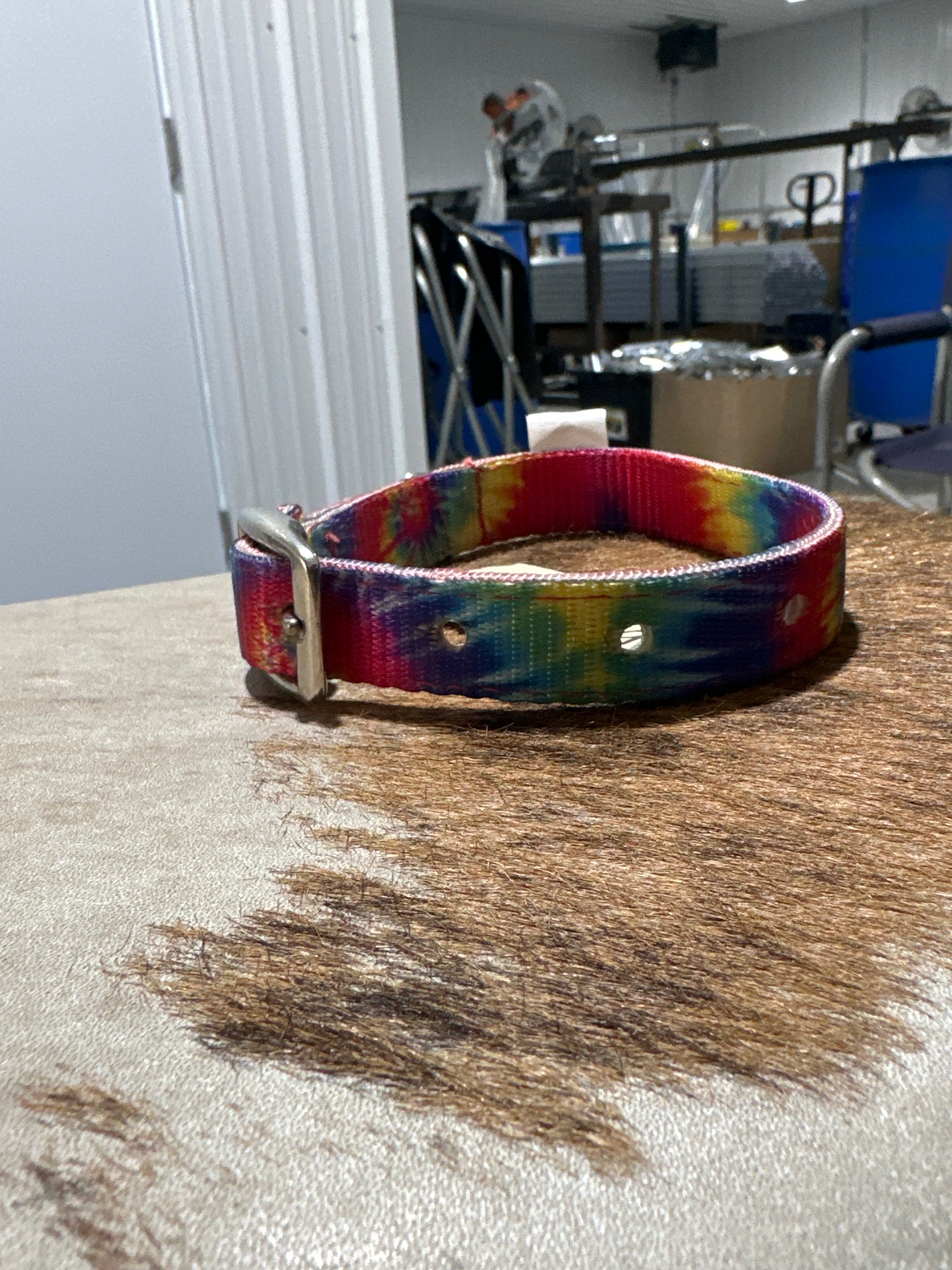 Small nylon dog collars