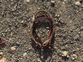Richland Leather burgundy heavy duty headstall