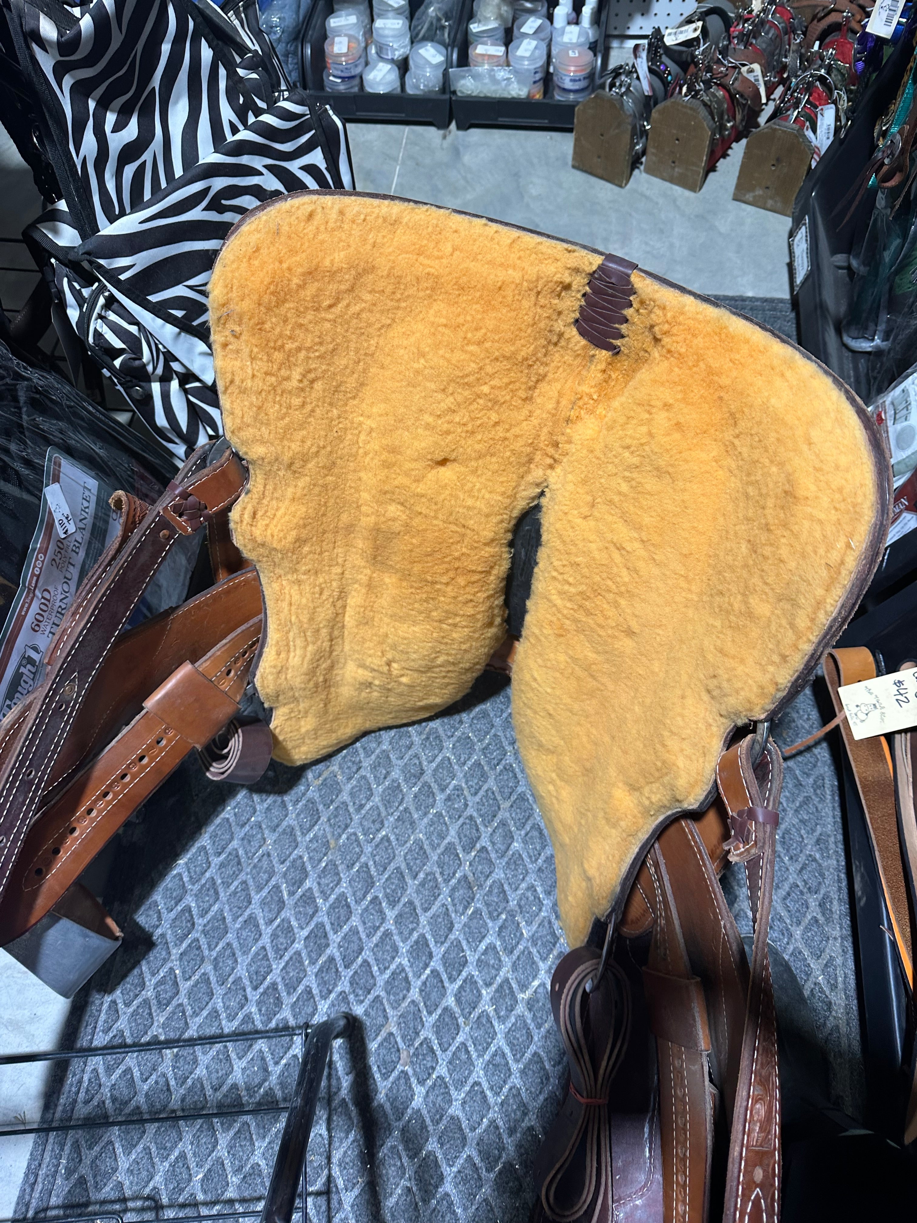 14.5” Three Forks Saddlery all-around