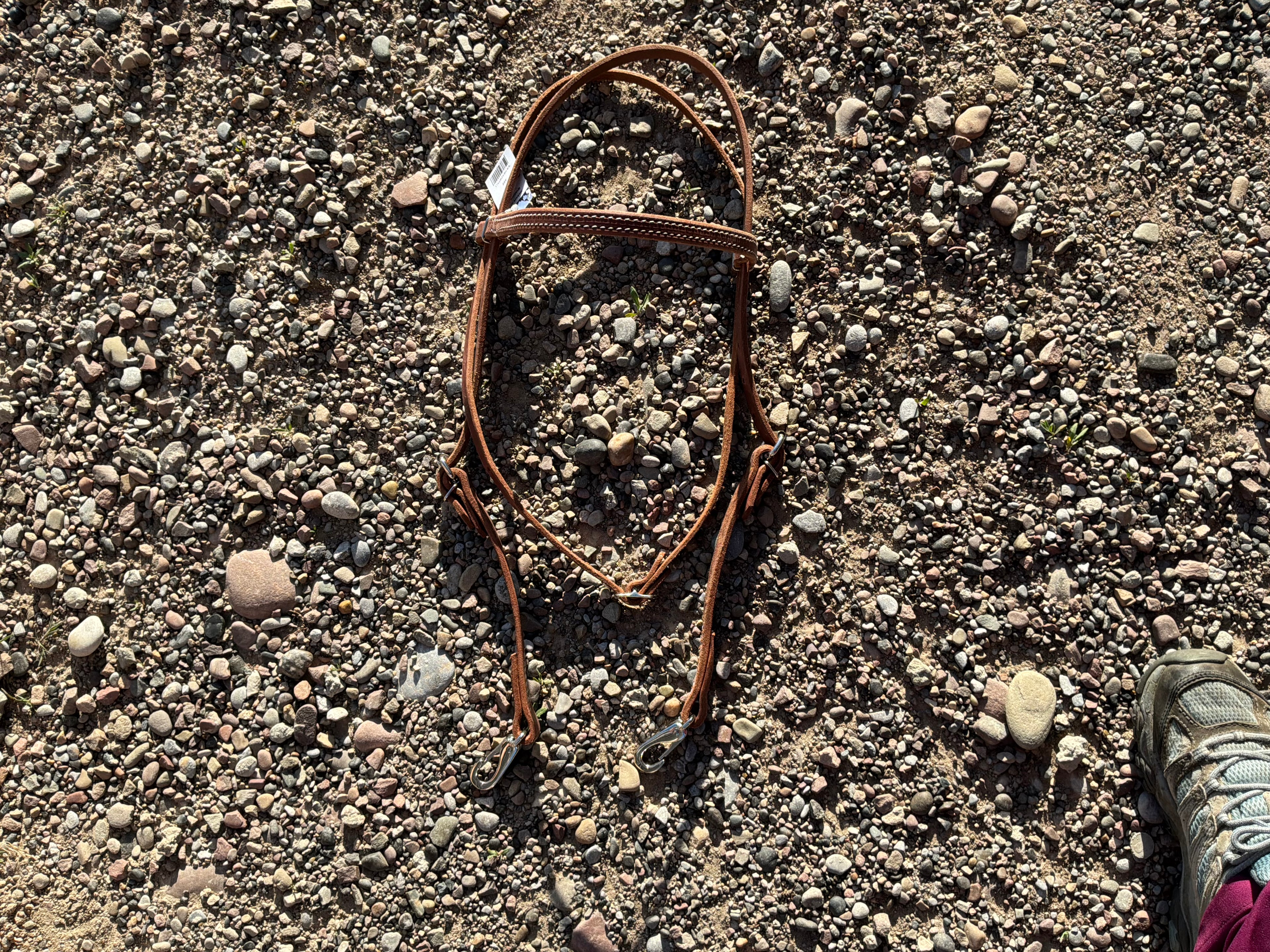 Richland Leather medium oil brow band headstall with quick change clips