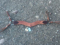 Professionals Choice heavy duty leather tripping collar