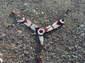 Red, white & blue string breast collar