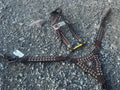 Buckstitch gladiator plate breast collar & matching headstall