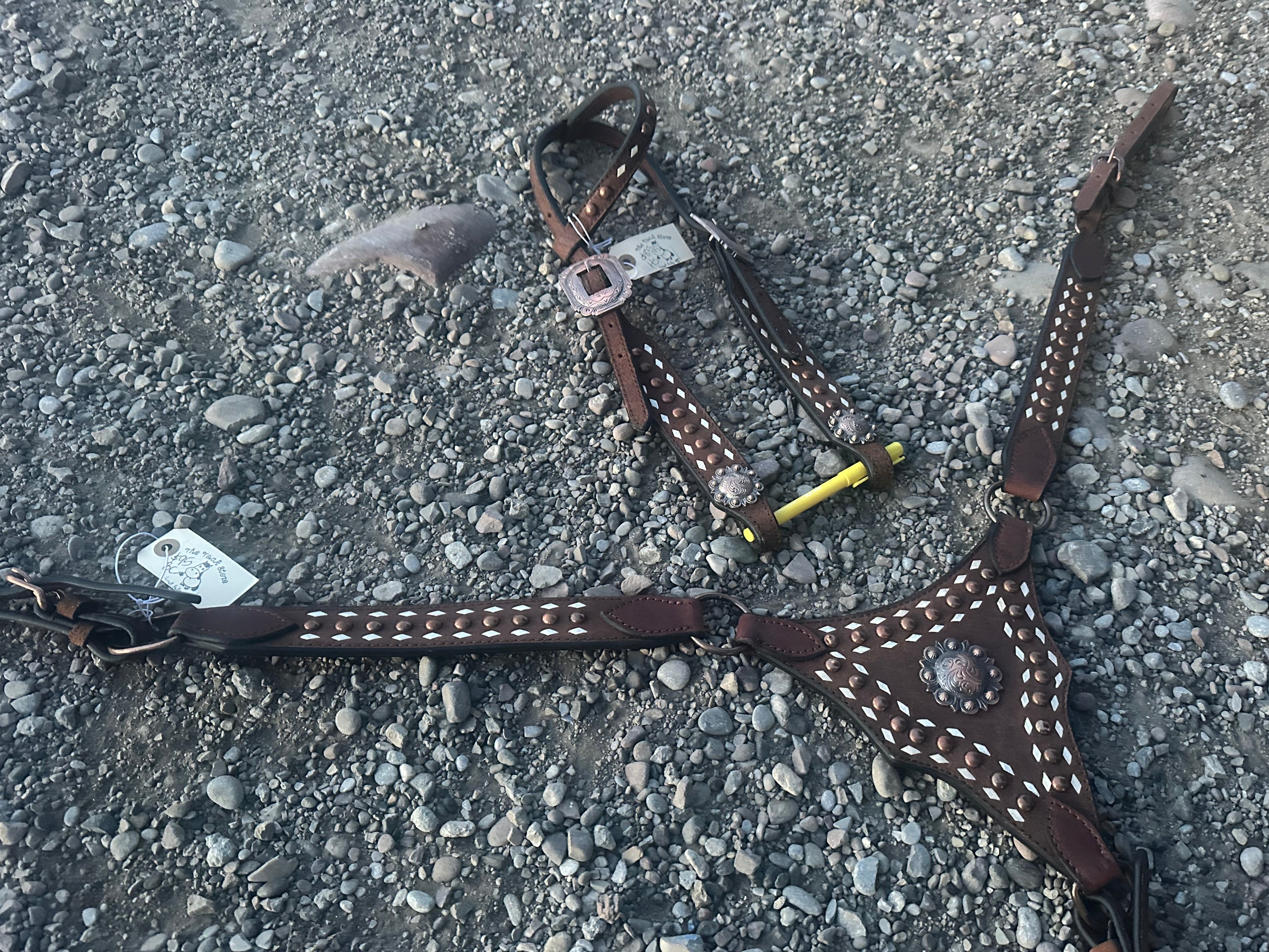 Buckstitch gladiator plate breast collar & matching headstall