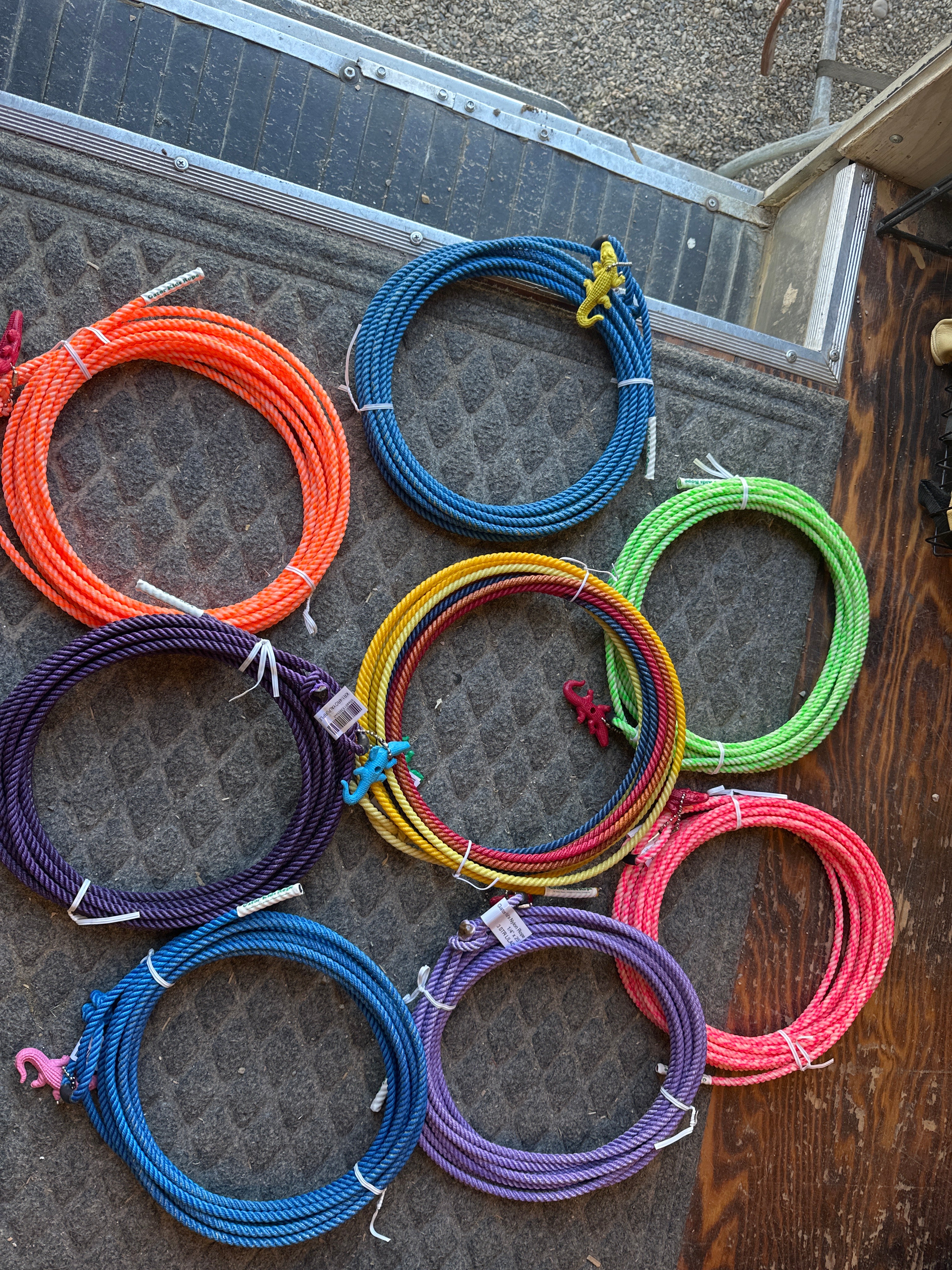 Gator kids ropes