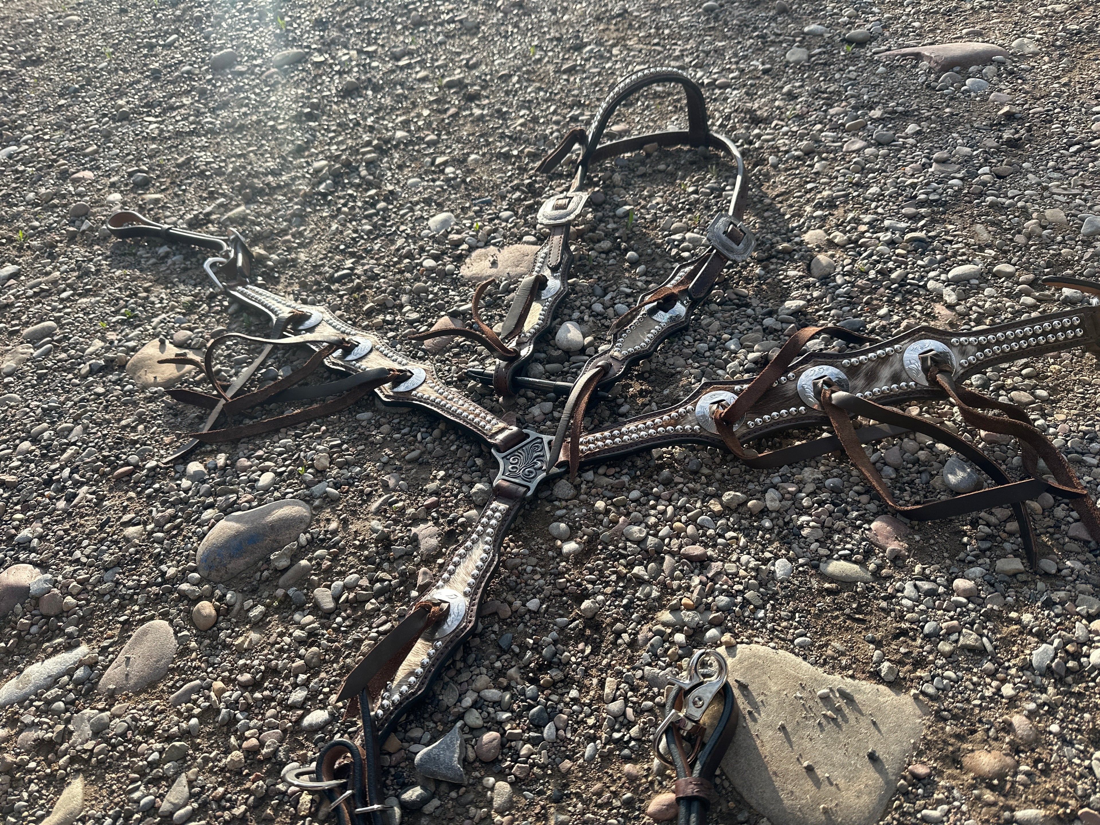 Custom accented breast collars & matching Headstalls