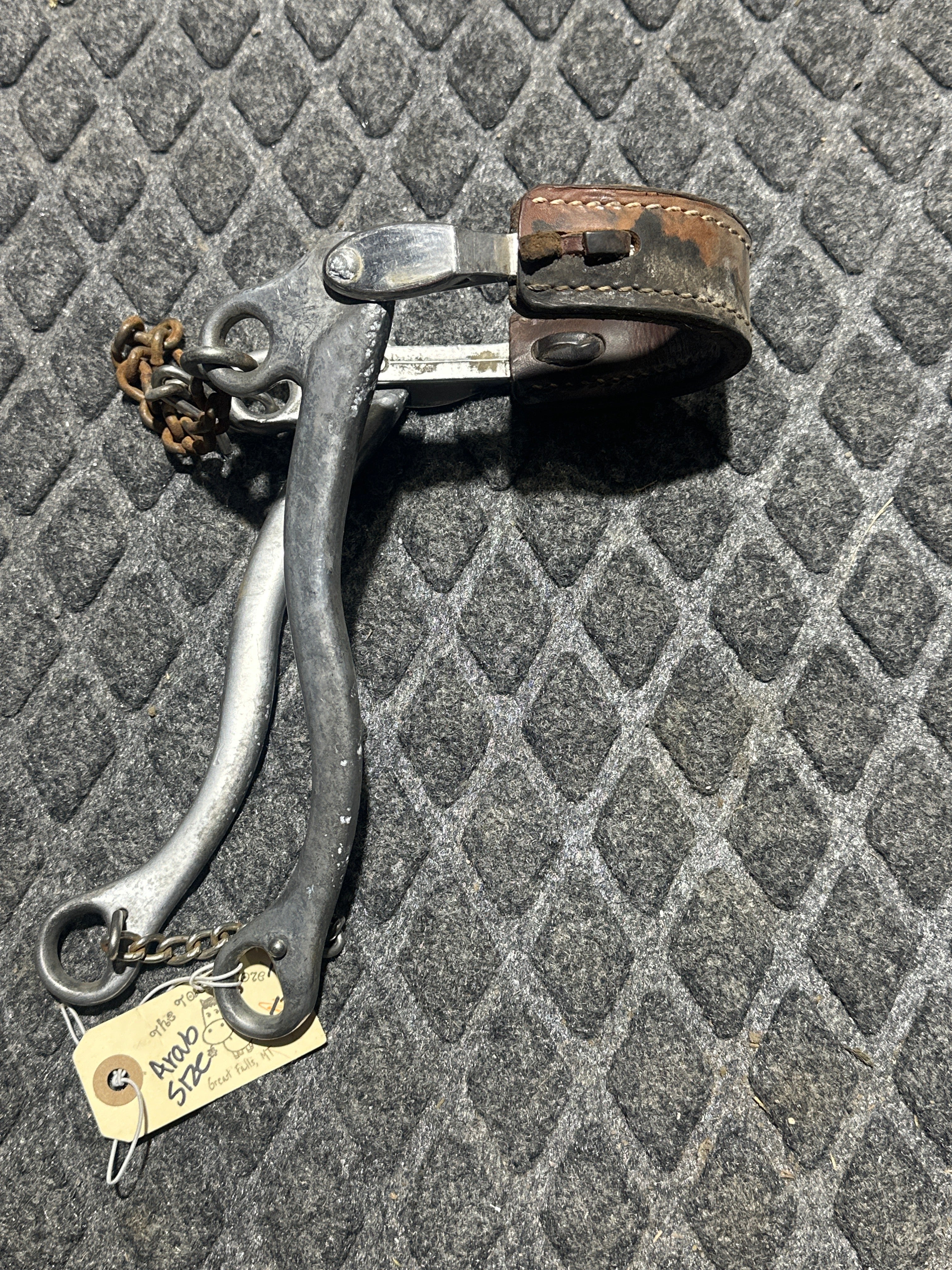 Arab size sleister Hackamore