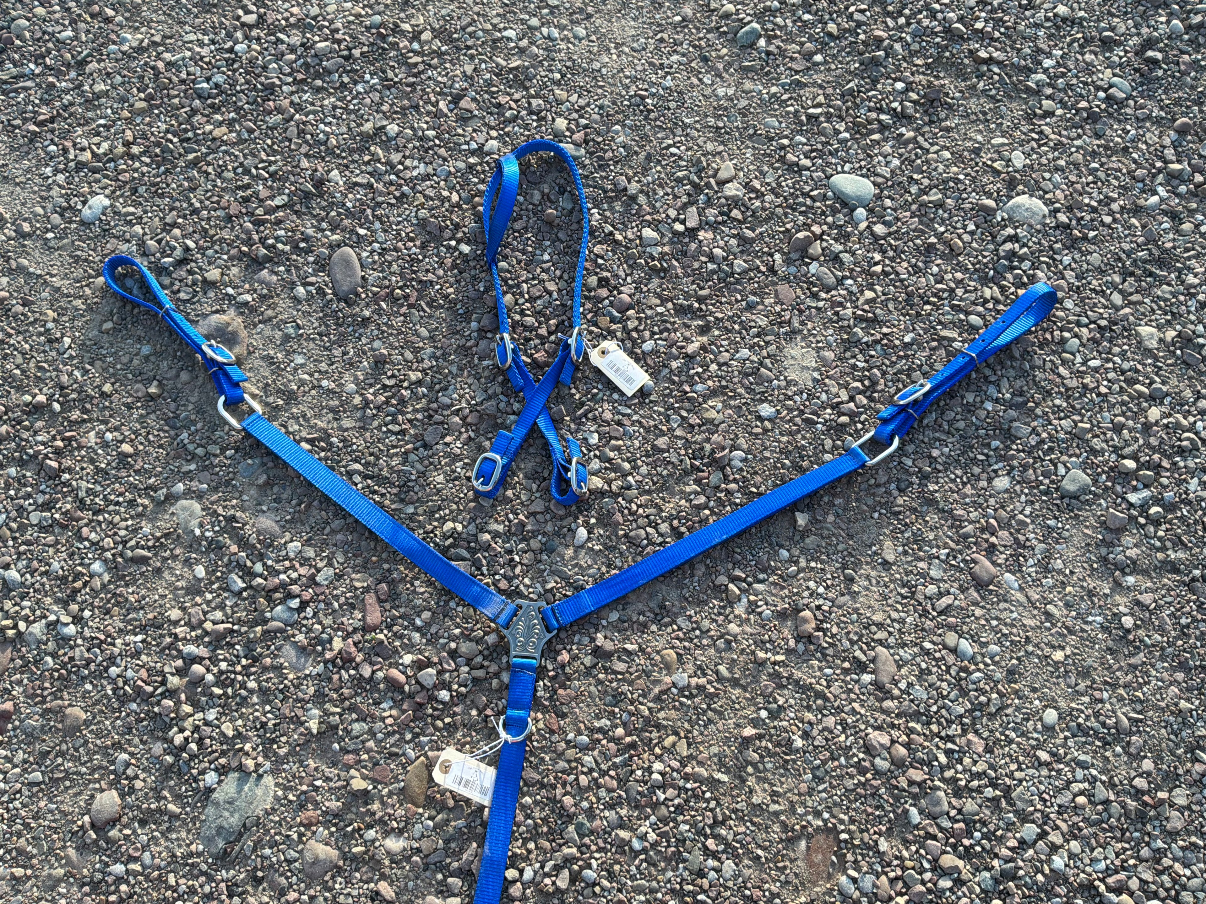 Blue nylon headstall & breast collar set