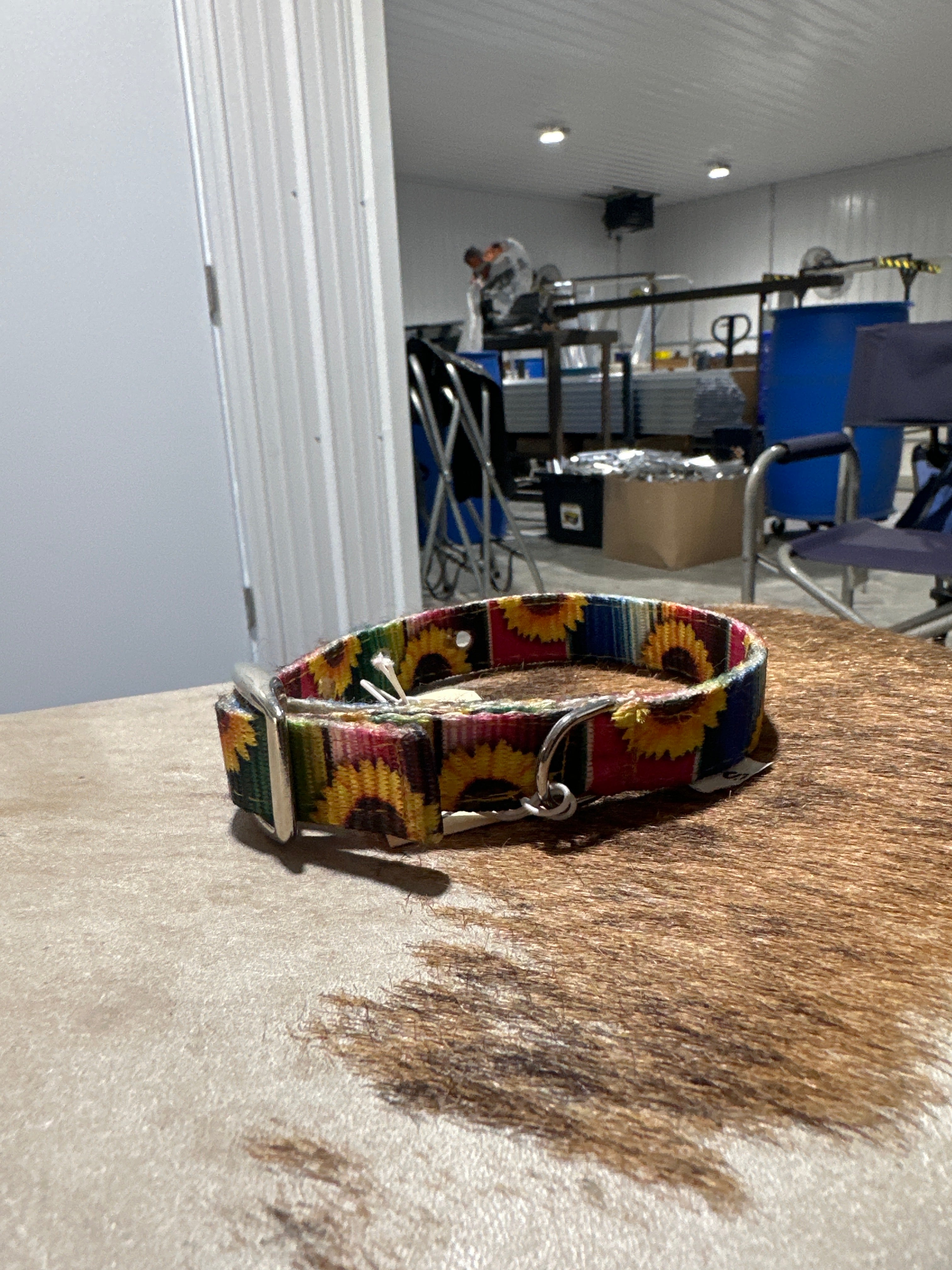 Small nylon dog collars