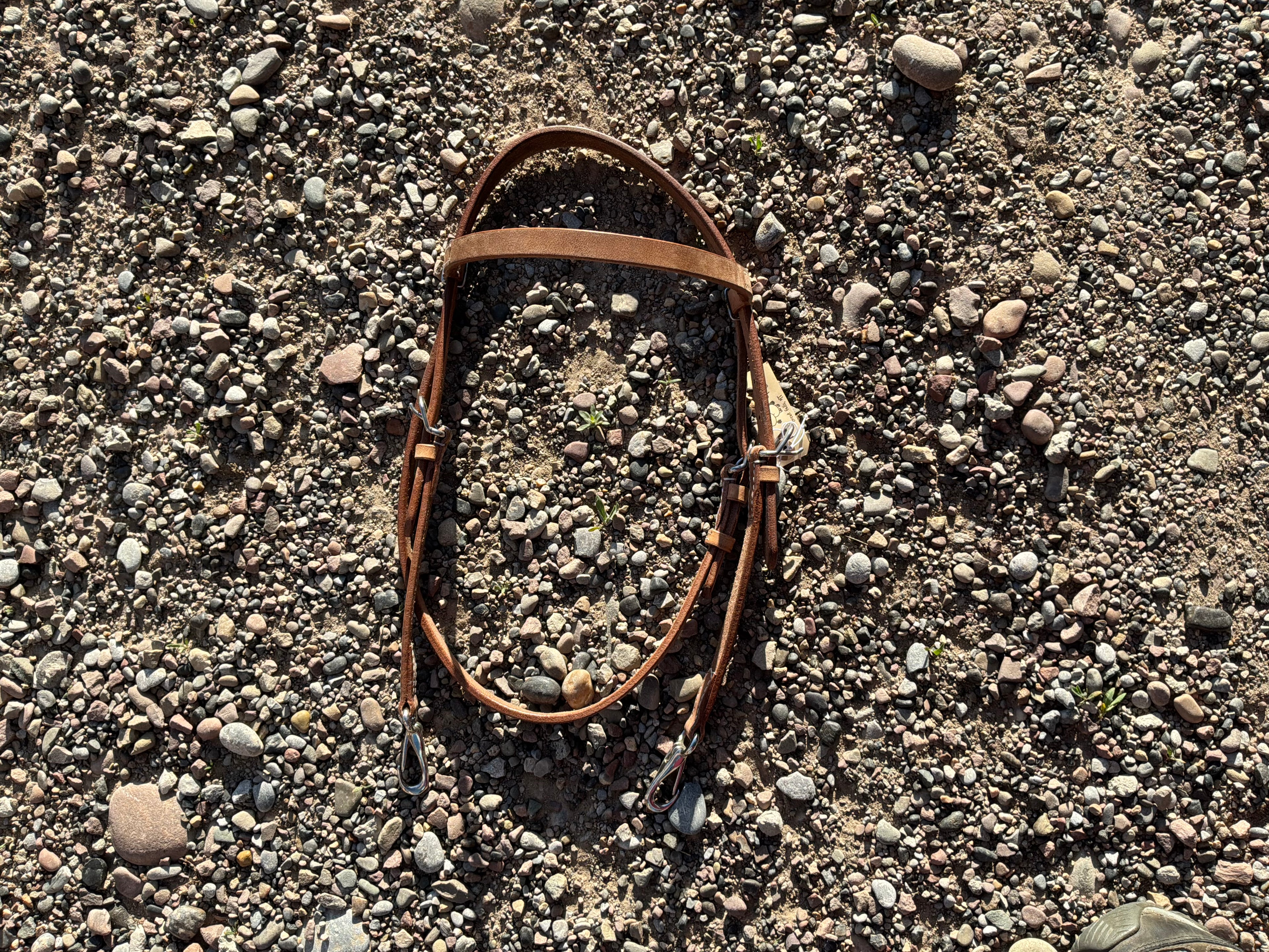 Light oil brow band headstall with quick change clips