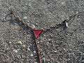 Ring breast collar with red gladiator plate