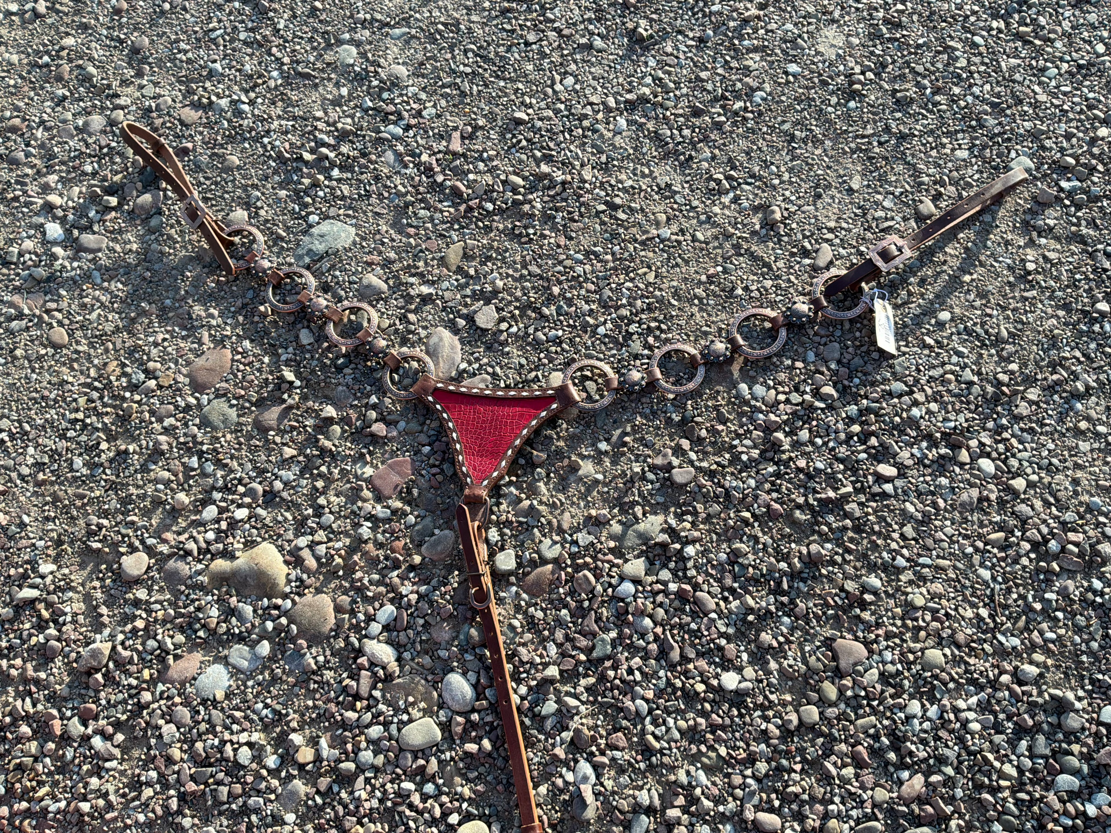 Ring breast collar with red gladiator plate
