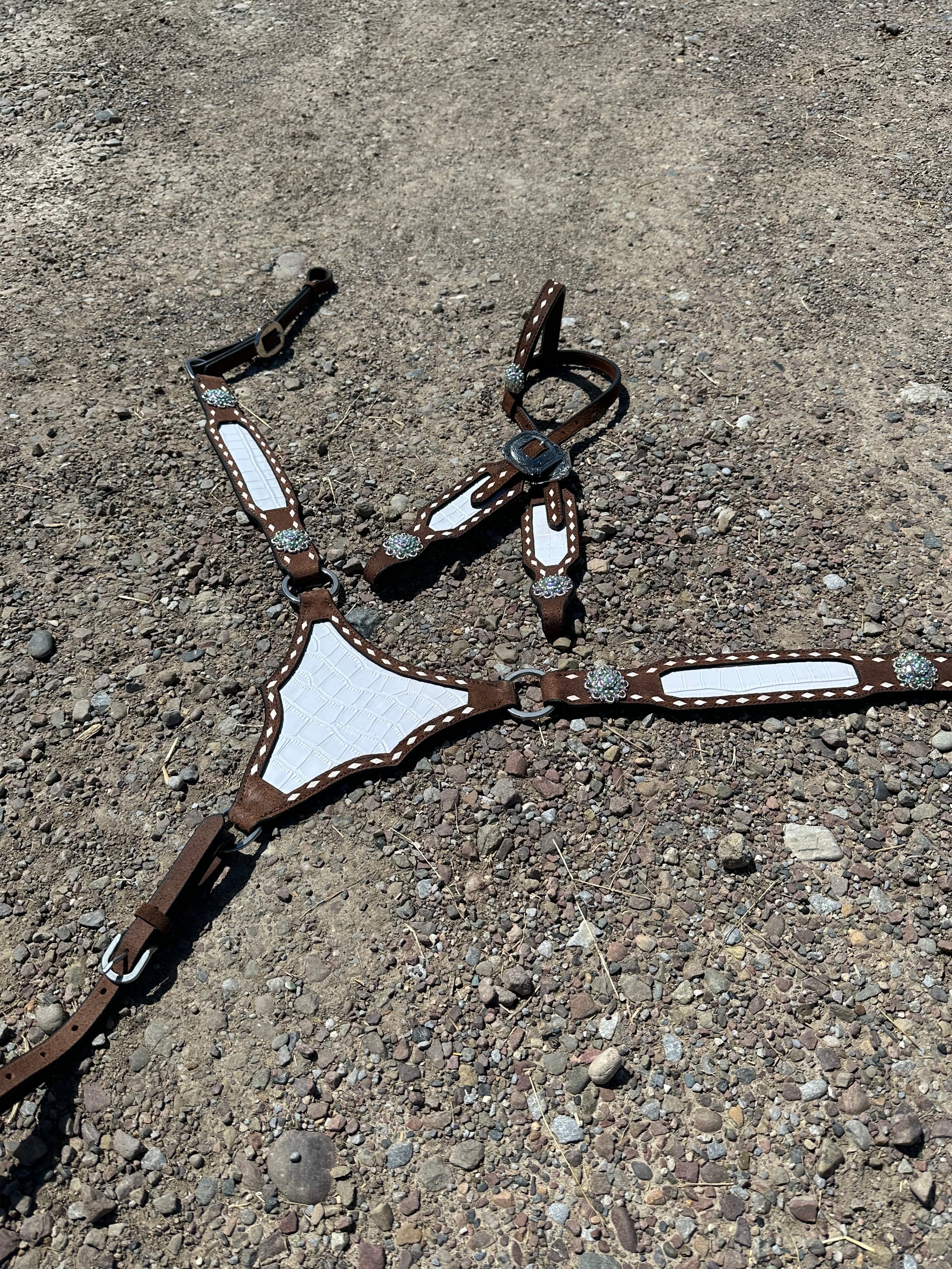 Gladiator plate white accent headstall & breast collar set