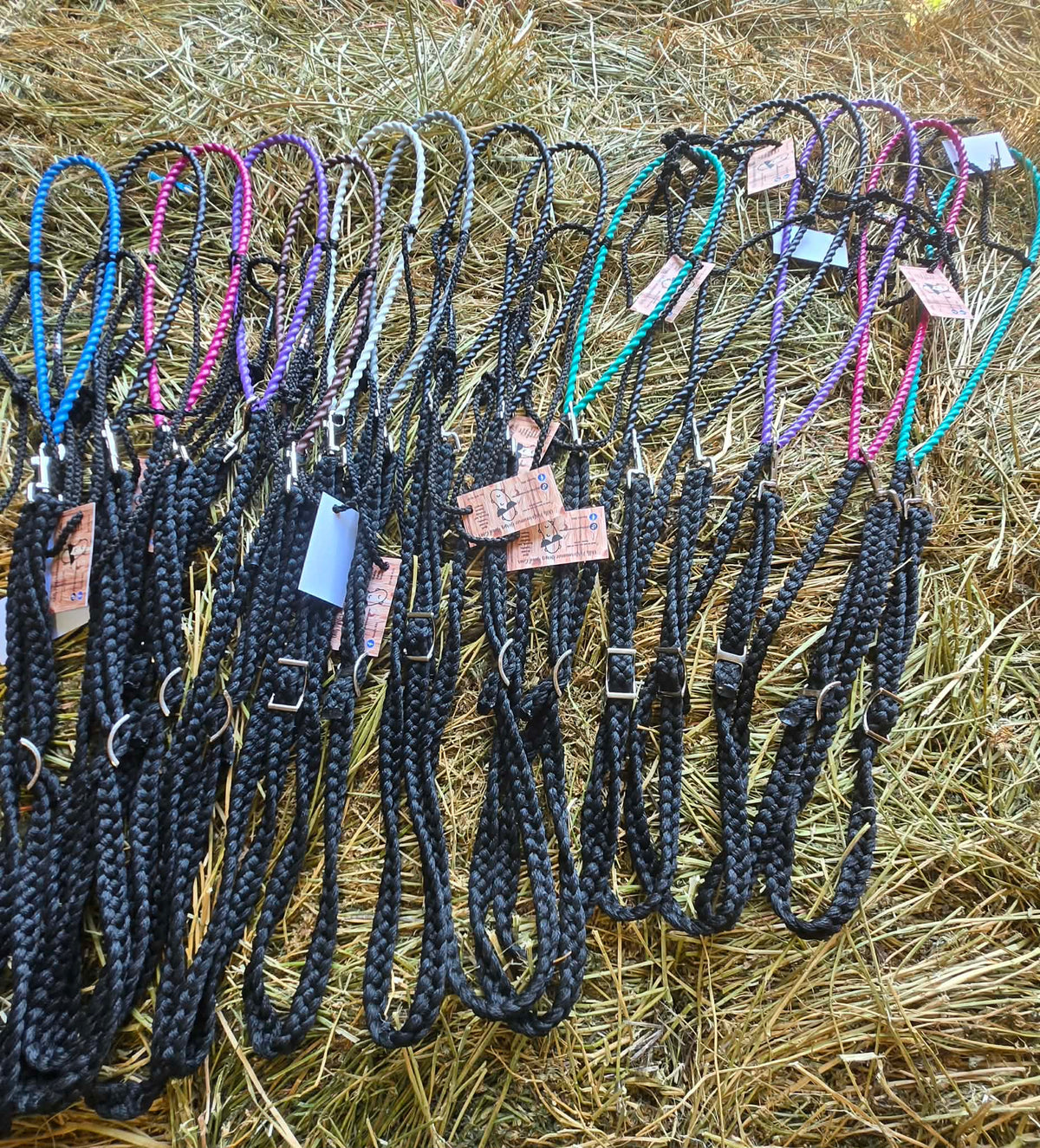 Dill performance head gear tie downs