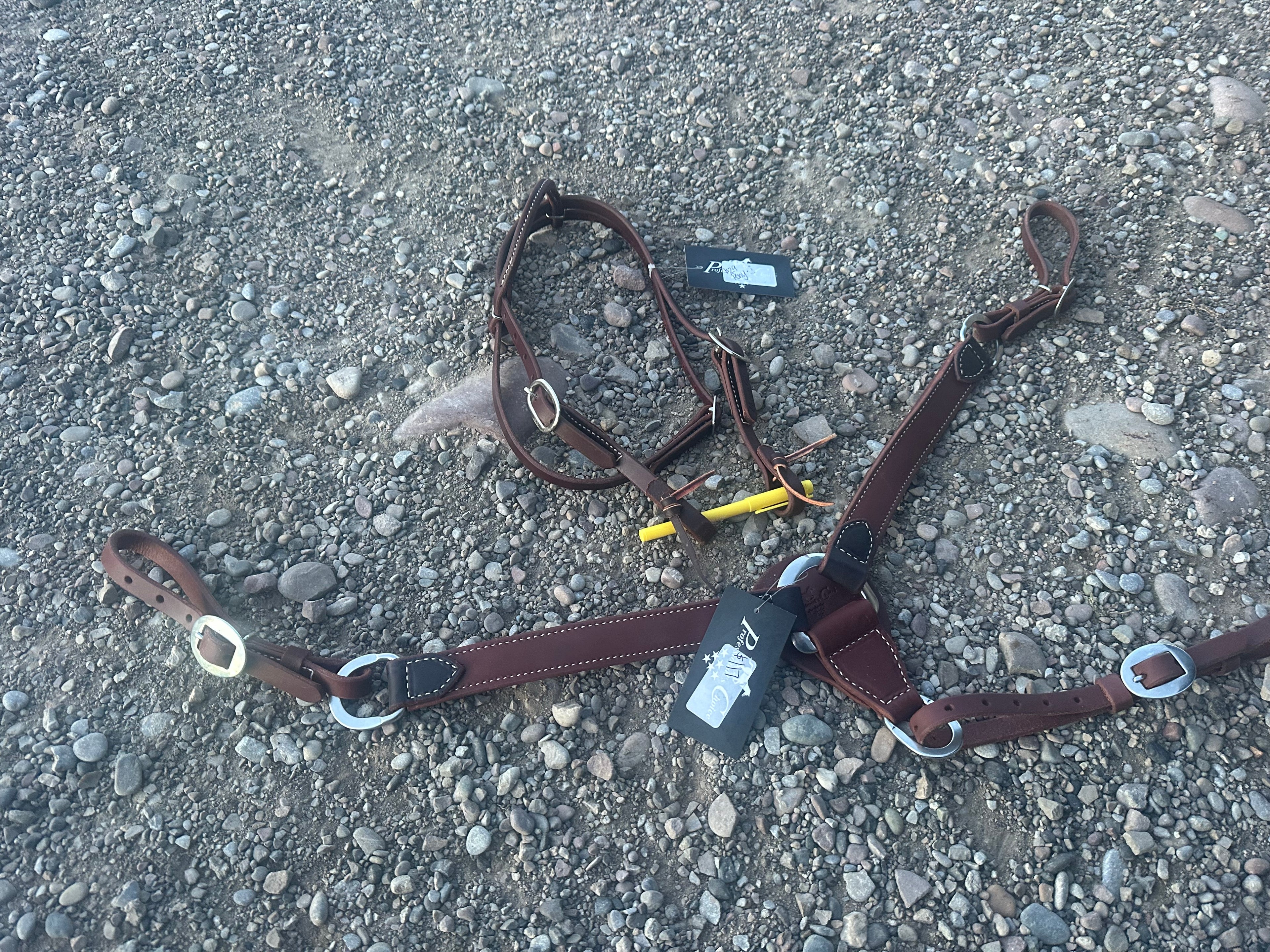 Professionals Choice pony headstall & matching breast collar