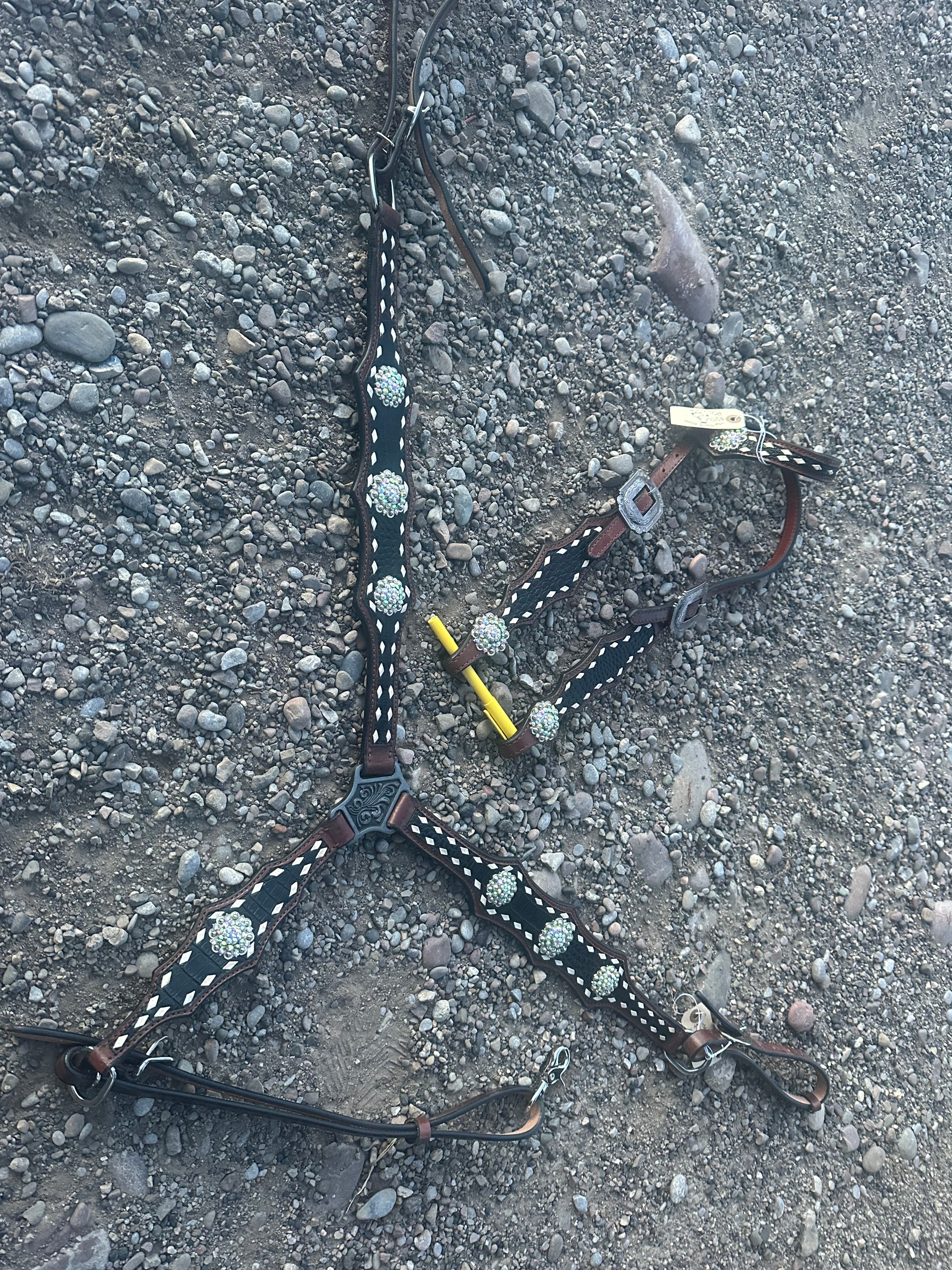 Matching black headstall & breast collar with bling conchos