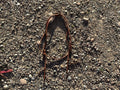 Richland Leather one ear headstall with throat latch