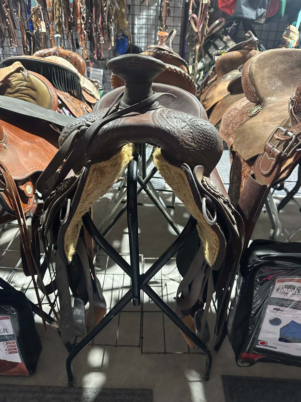 15.5” Circle Y ranch roper