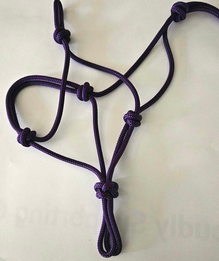 Pony/ mini cowboy tie halter