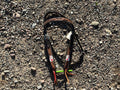 Gambler headstall with brow band