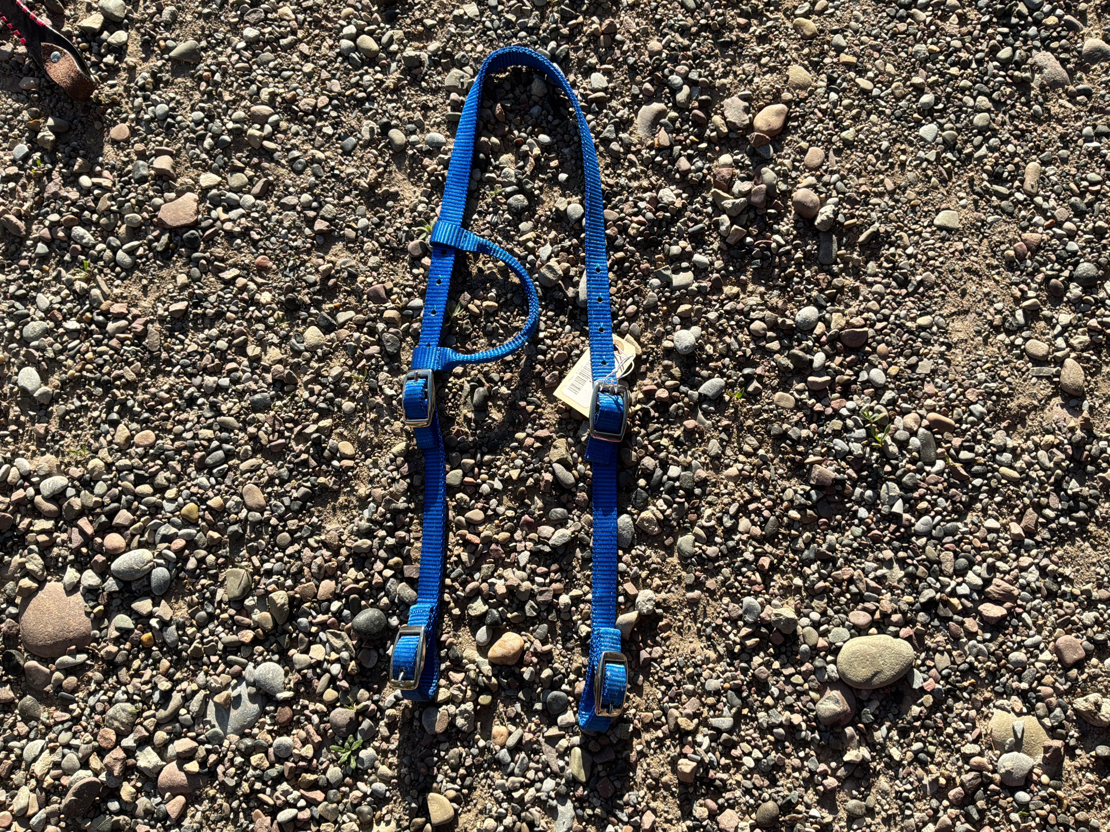 Solid color nylon one ear headstall